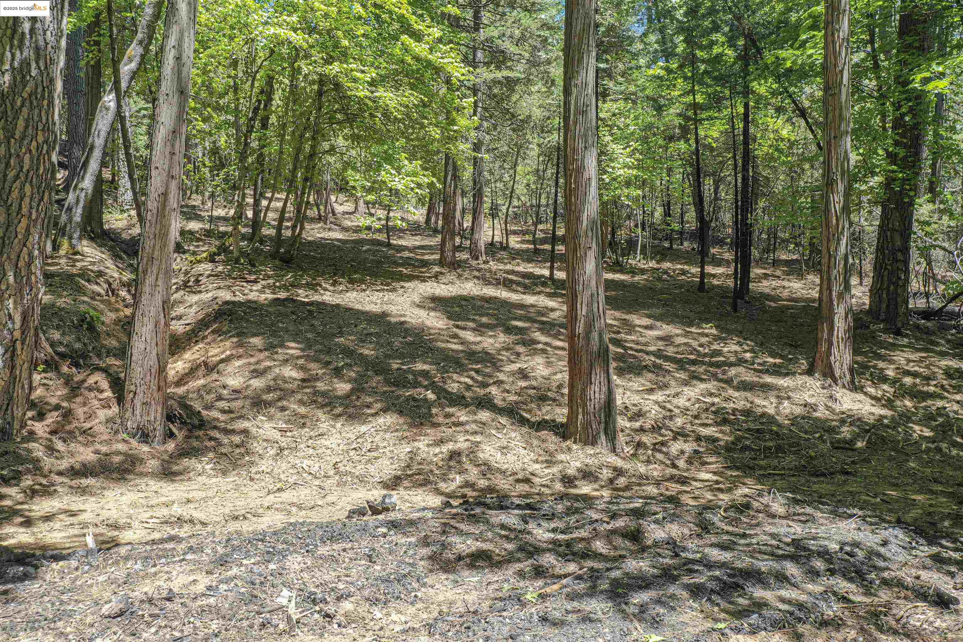 Detail Gallery Image 31 of 40 For 0 Forest Lake Rd, Sonora,  CA 95370 - – Beds | – Baths