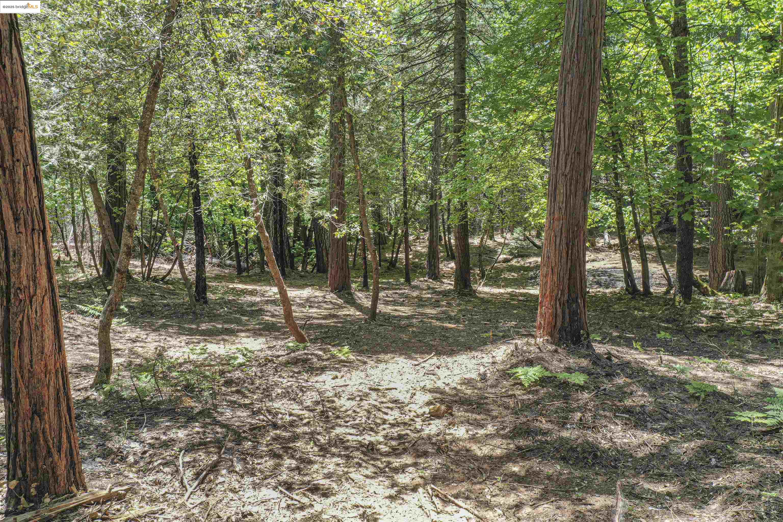 Detail Gallery Image 36 of 40 For 0 Forest Lake Rd, Sonora,  CA 95370 - – Beds | – Baths