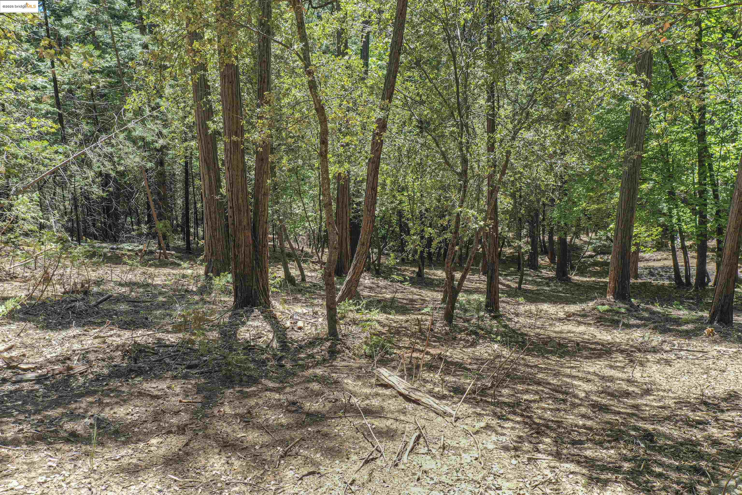 Detail Gallery Image 37 of 40 For 0 Forest Lake Rd, Sonora,  CA 95370 - – Beds | – Baths