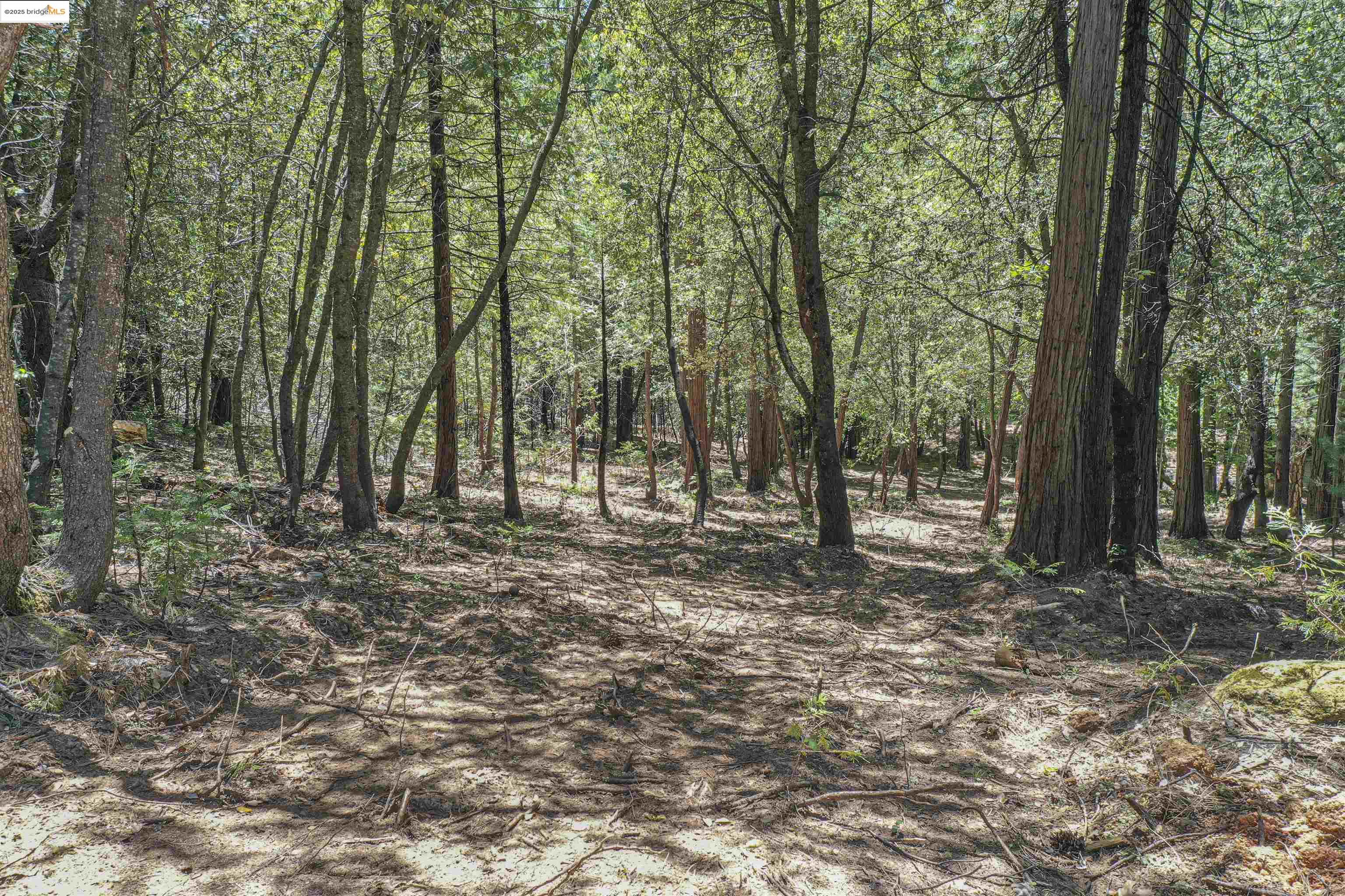 Detail Gallery Image 38 of 40 For 0 Forest Lake Rd, Sonora,  CA 95370 - – Beds | – Baths