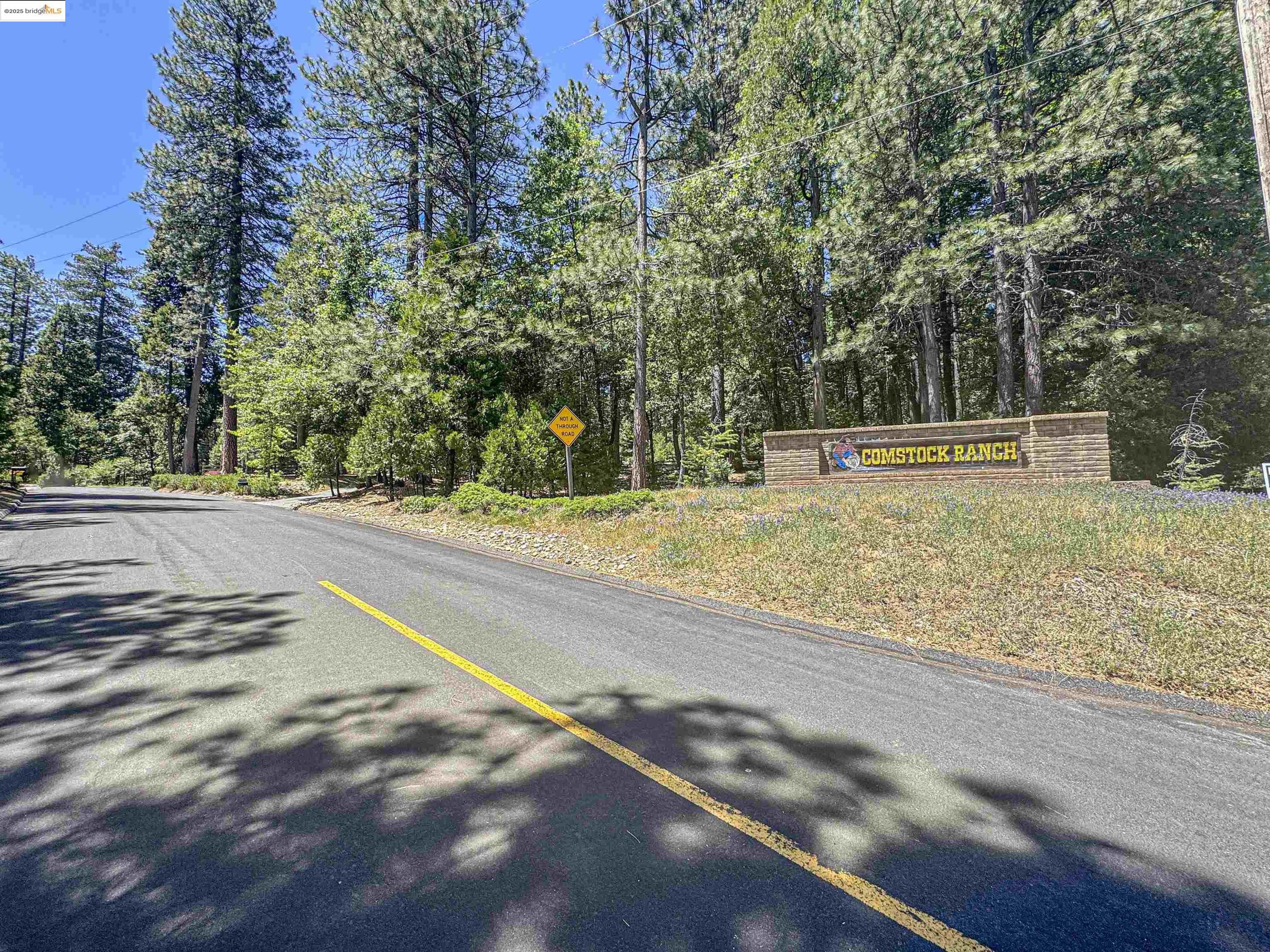 Detail Gallery Image 3 of 40 For 0 Forest Lake Rd, Sonora,  CA 95370 - – Beds | – Baths