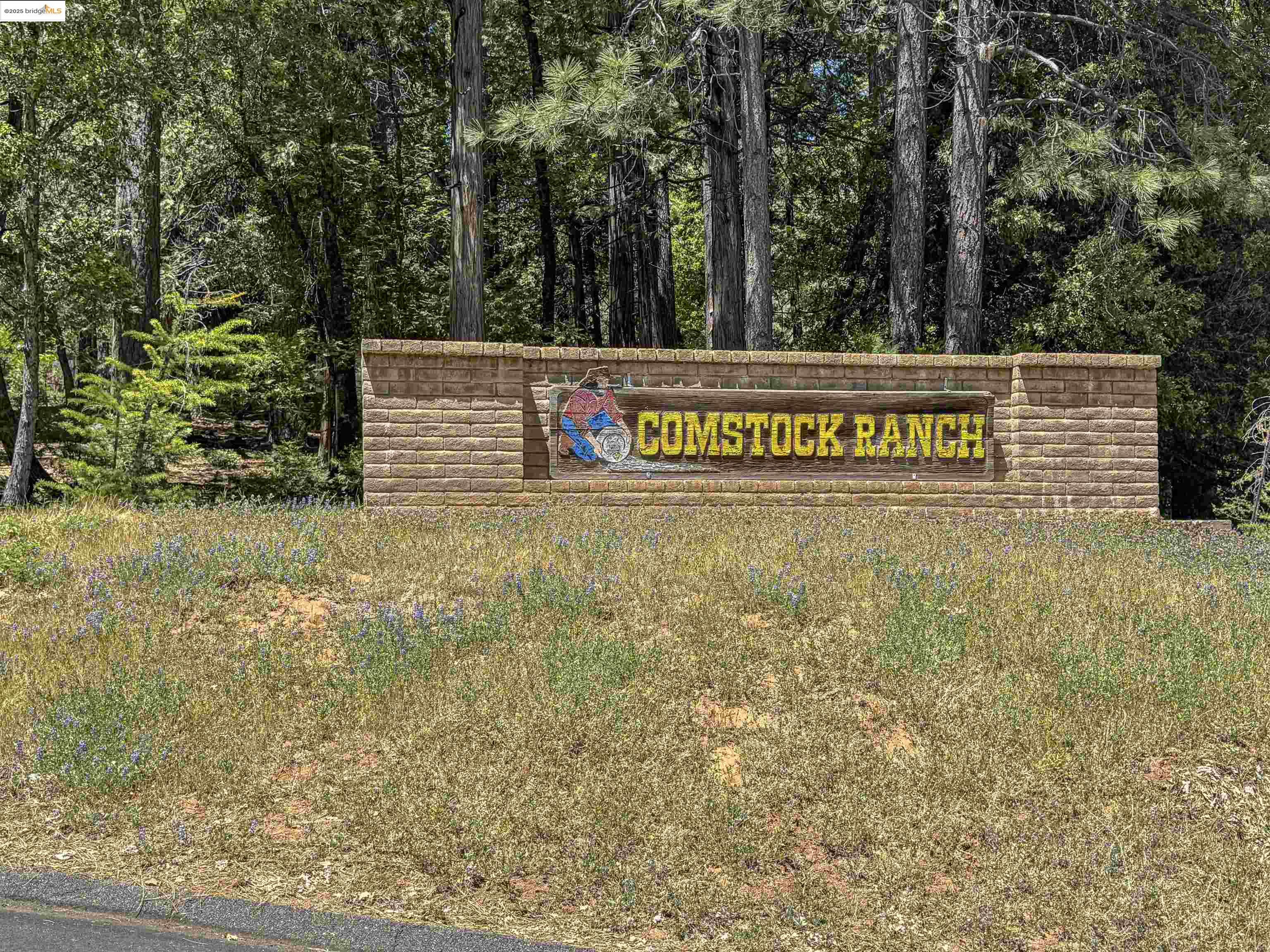 Detail Gallery Image 4 of 40 For 0 Forest Lake Rd, Sonora,  CA 95370 - – Beds | – Baths