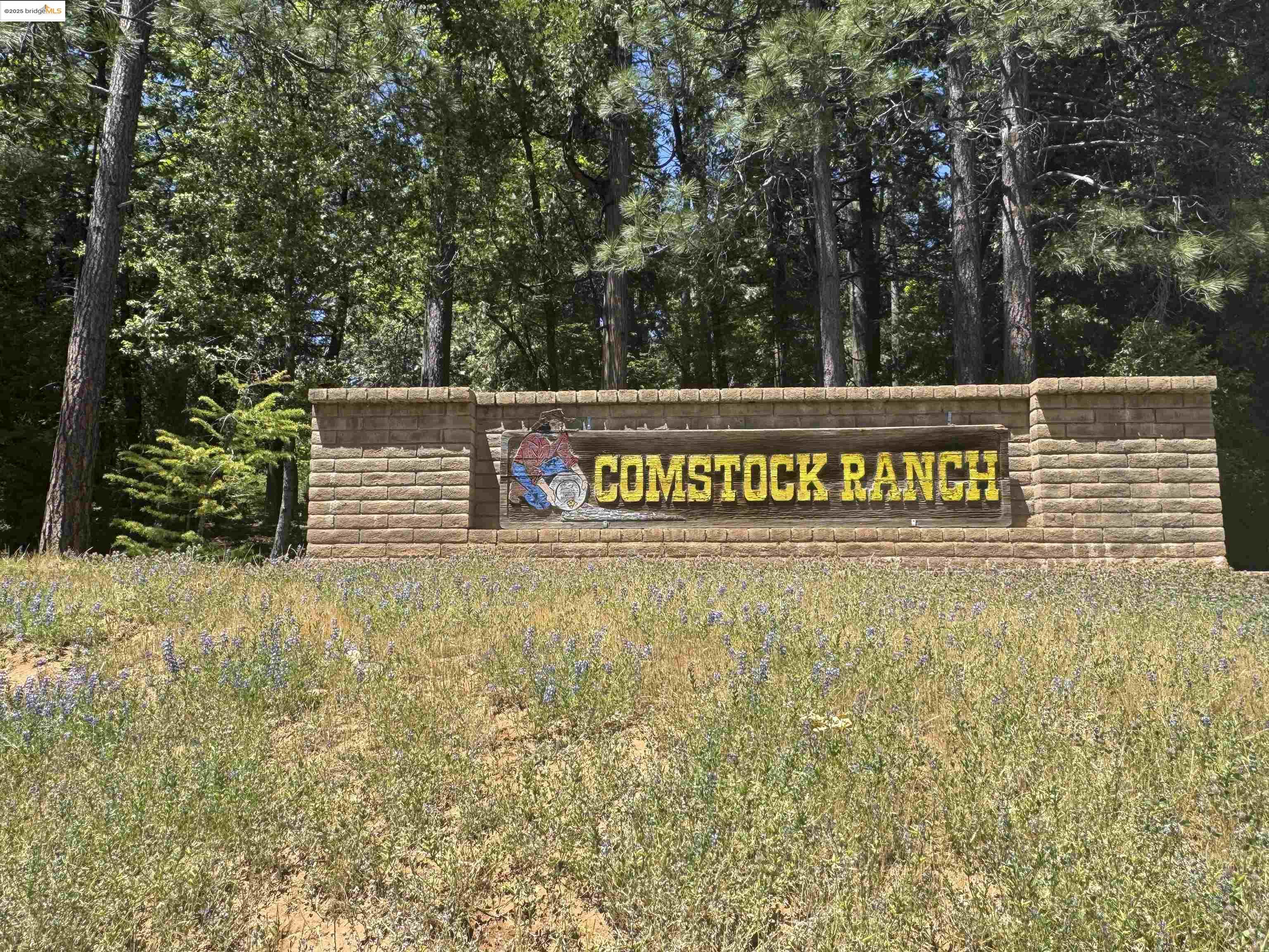Detail Gallery Image 5 of 40 For 0 Forest Lake Rd, Sonora,  CA 95370 - – Beds | – Baths