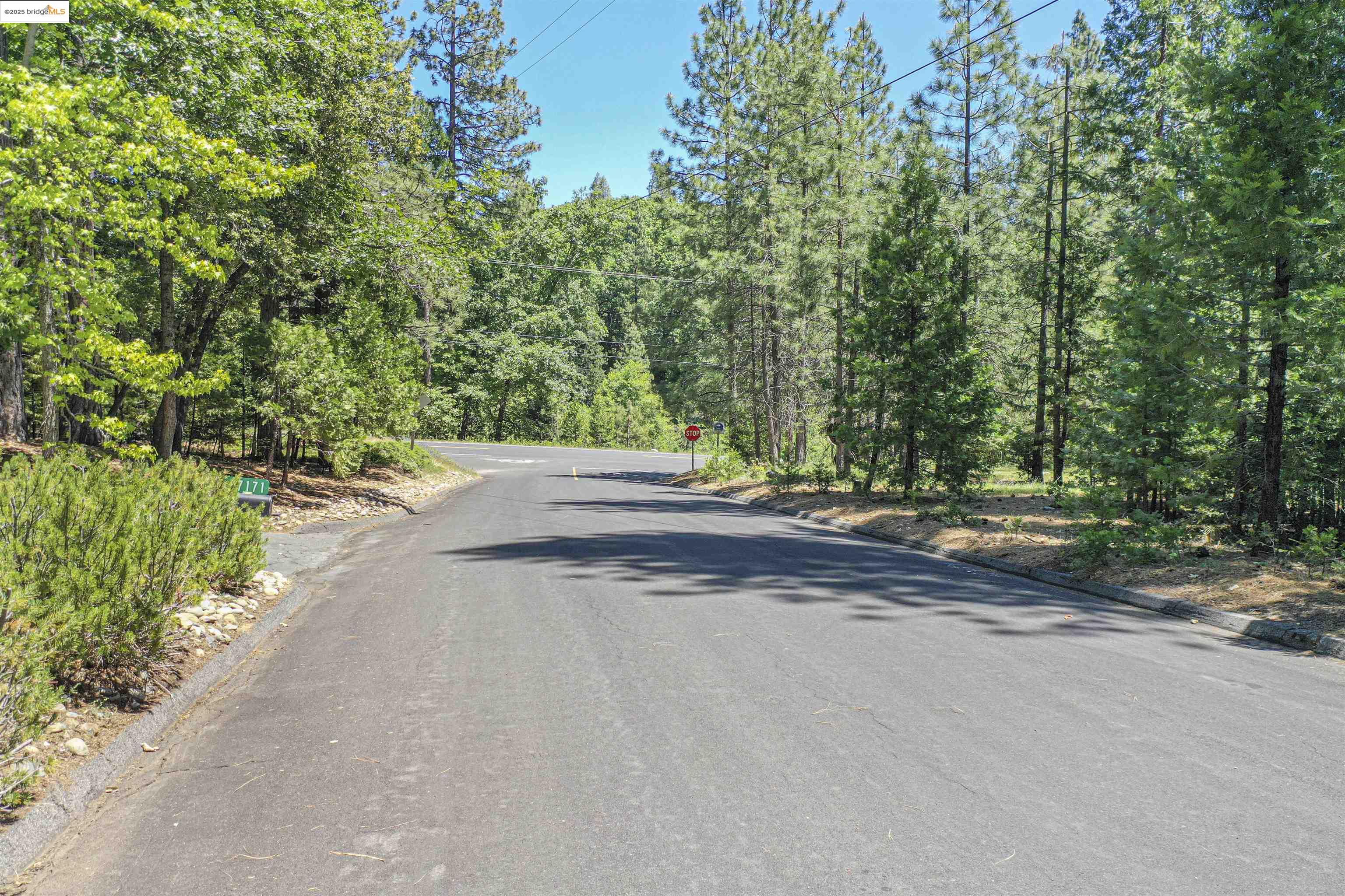 Detail Gallery Image 7 of 40 For 0 Forest Lake Rd, Sonora,  CA 95370 - – Beds | – Baths