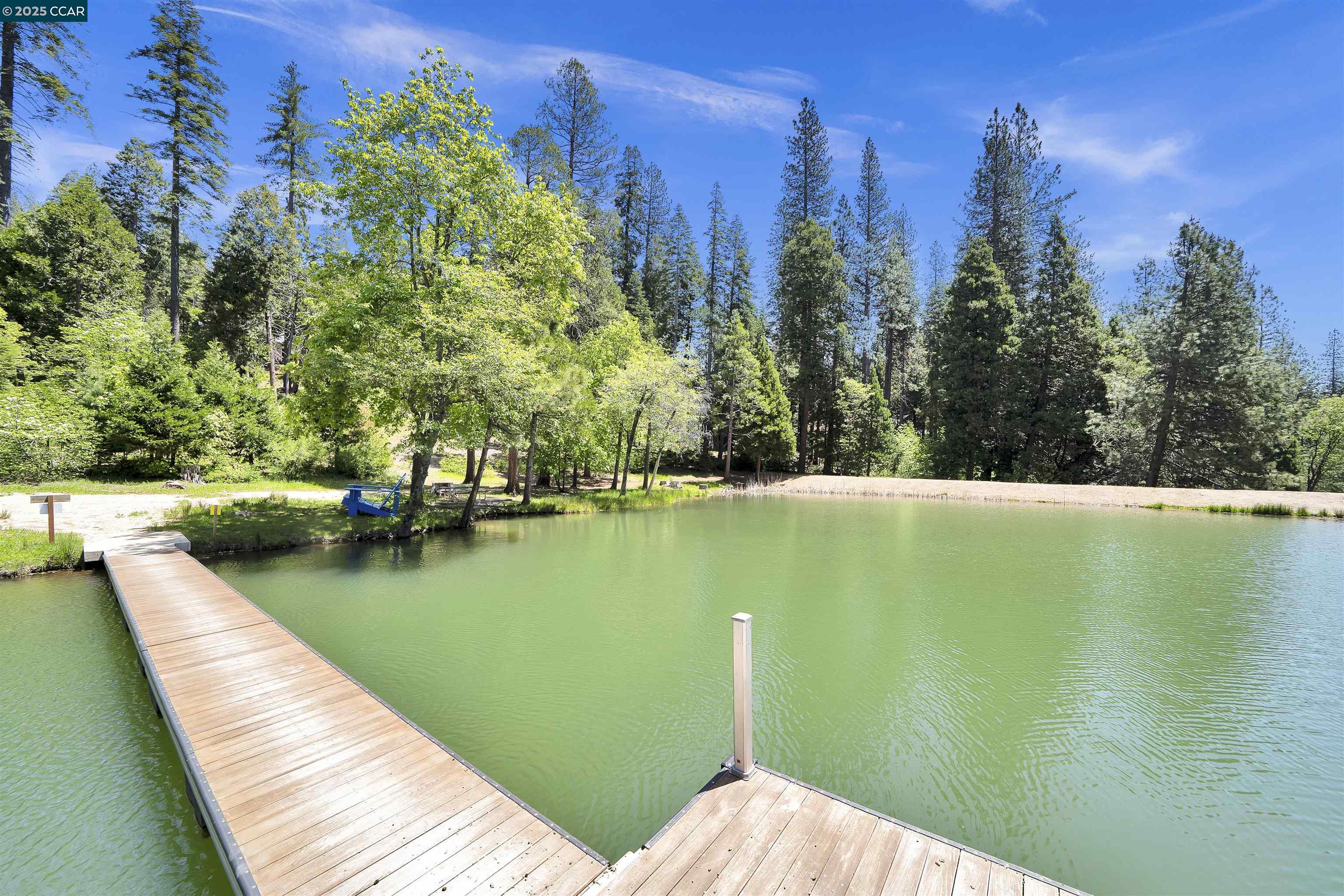 Detail Gallery Image 50 of 52 For 1492 Patricia Ln, Arnold,  CA 95223 - 3 Beds | 2 Baths