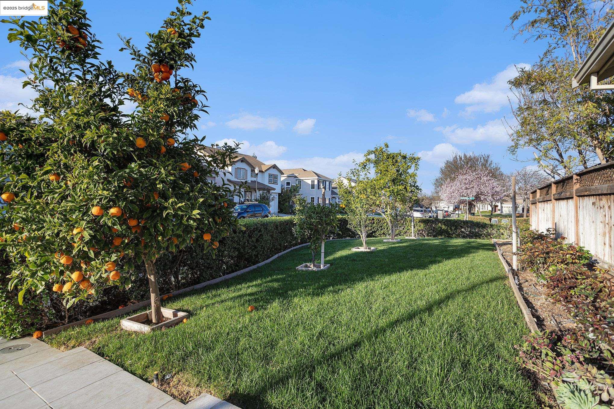 Detail Gallery Image 33 of 42 For 1174 Tropicana Ln, Brentwood,  CA 94513 - 5 Beds | 3 Baths