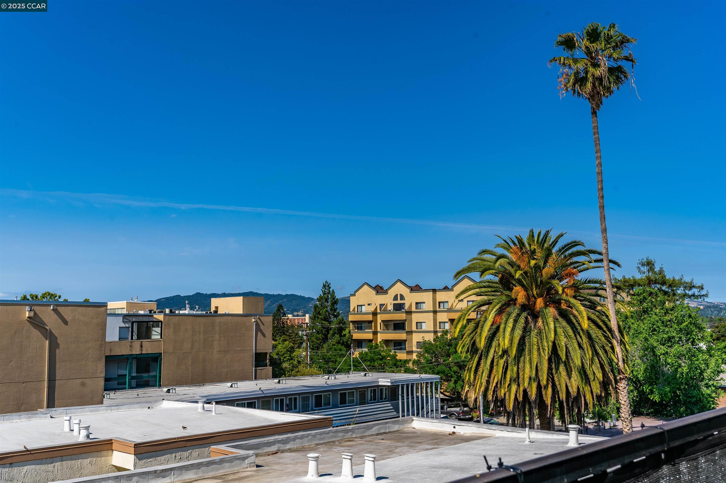 Detail Gallery Image 38 of 42 For 1851 Harrison St #6,  Concord,  CA 94520 - 2 Beds | 1 Baths
