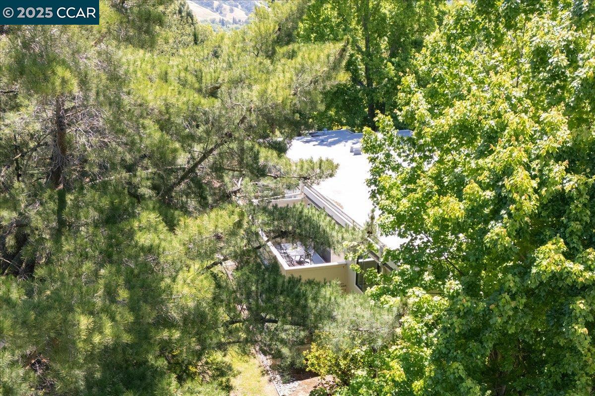 Detail Gallery Image 37 of 38 For 2749 Pine Knoll Dr. #1,  Walnut Creek,  CA 94595 - 2 Beds | 2 Baths