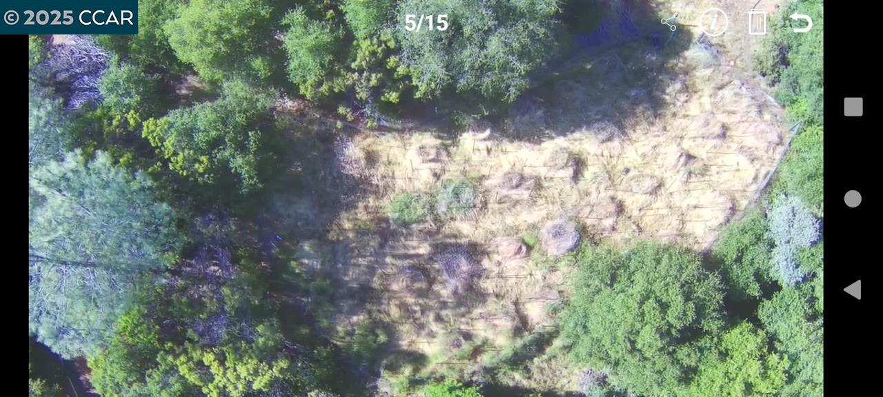 254 Elams Ranch Road, Oroville, California 95966, ,Land,For Sale,254 Elams Ranch Road,41098673