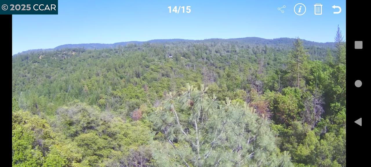 254 Elams Ranch Road, Oroville, California 95966, ,Land,For Sale,254 Elams Ranch Road,41098673