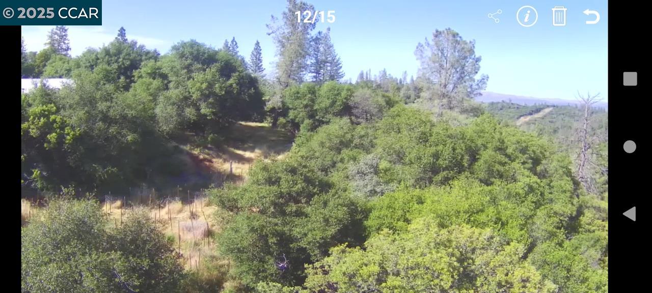 254 Elams Ranch Road, Oroville, California 95966, ,Land,For Sale,254 Elams Ranch Road,41098673