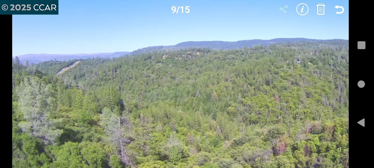 254 Elams Ranch Road, Oroville, California 95966, ,Land,For Sale,254 Elams Ranch Road,41098673