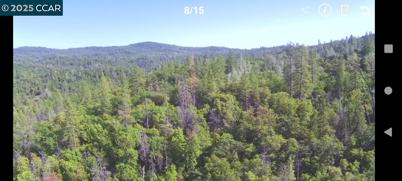 254 Elams Ranch Road, Oroville, California 95966, ,Land,For Sale,254 Elams Ranch Road,41098673