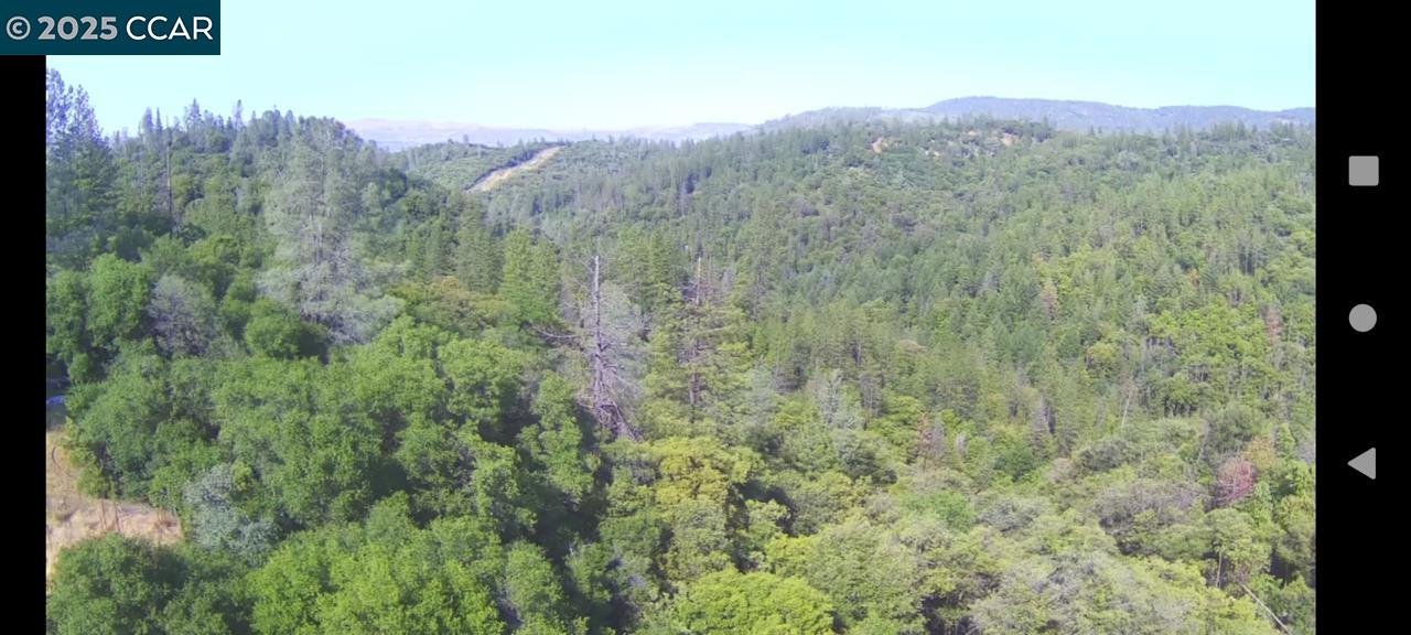 254 Elams Ranch Road, Oroville, California 95966, ,Land,For Sale,254 Elams Ranch Road,41098673