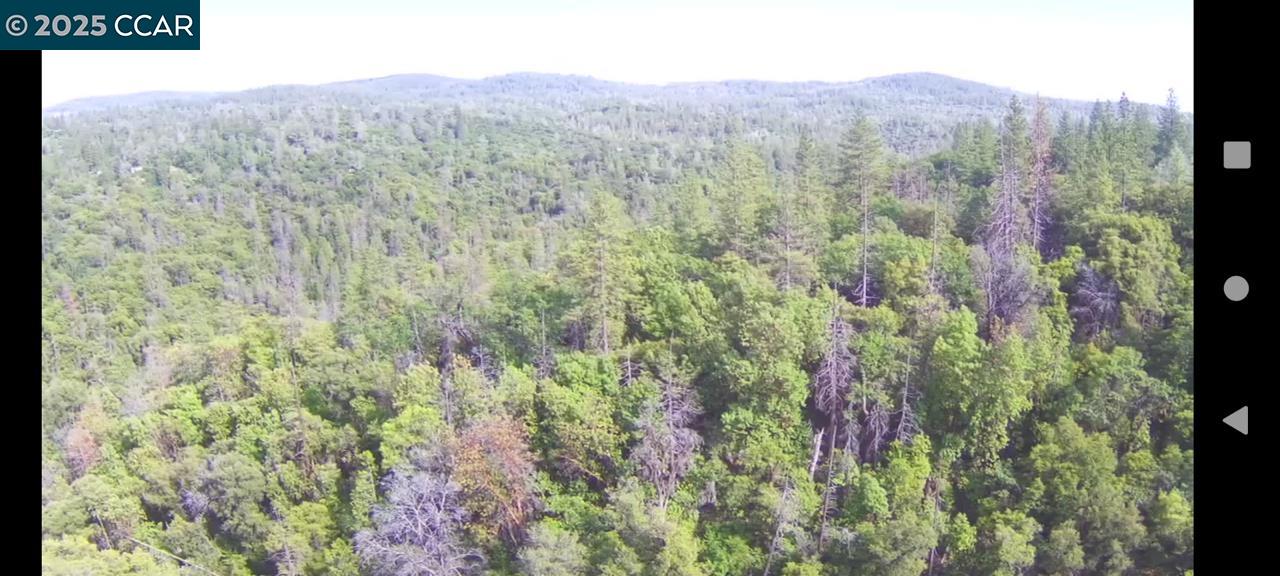 254 Elams Ranch Road, Oroville, California 95966, ,Land,For Sale,254 Elams Ranch Road,41098673