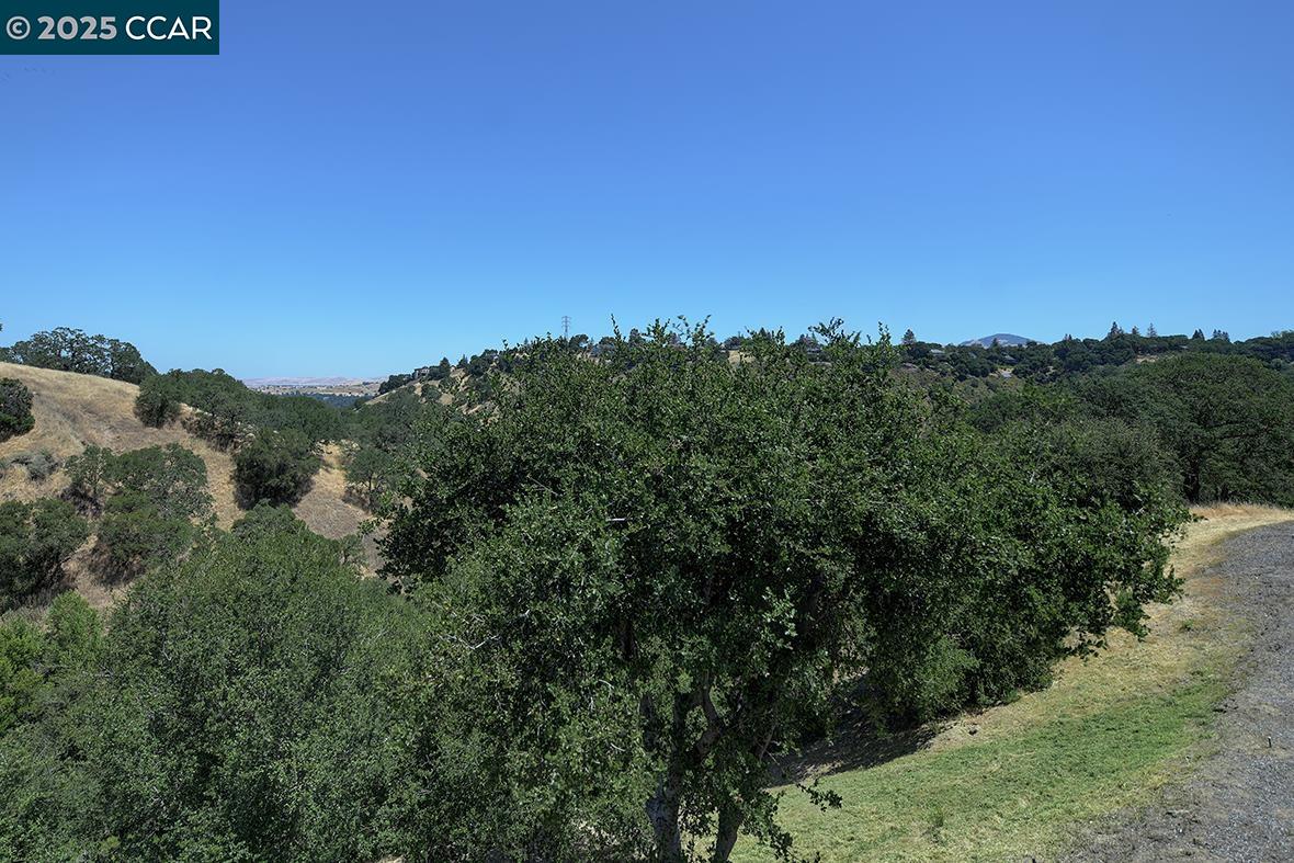 Photo #58: 41098678 Listing: Photo #58