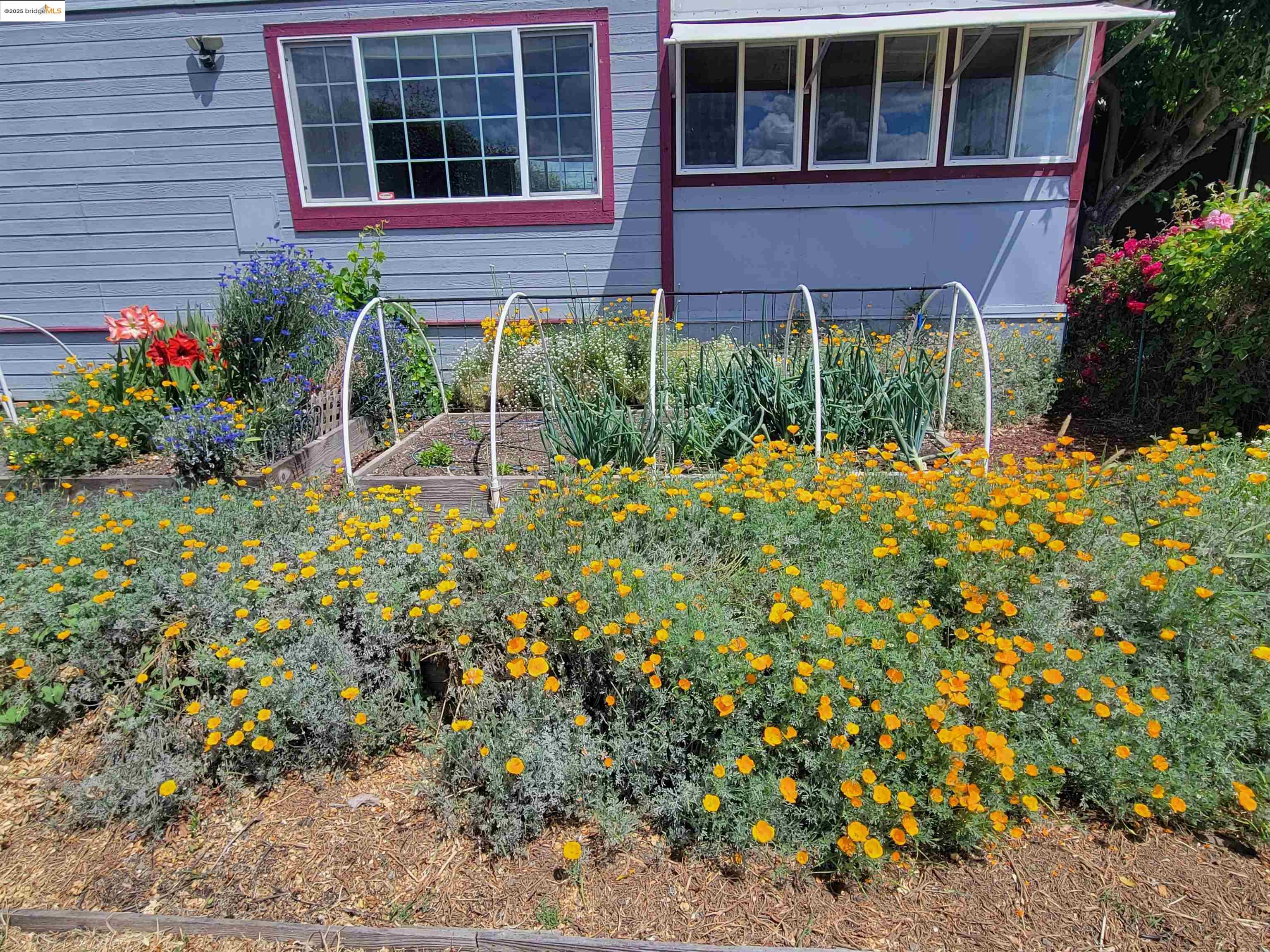 Detail Gallery Image 45 of 45 For 3505 Gateway Rd 25e,  Bethel Island,  CA 94511 - 2 Beds | 2 Baths