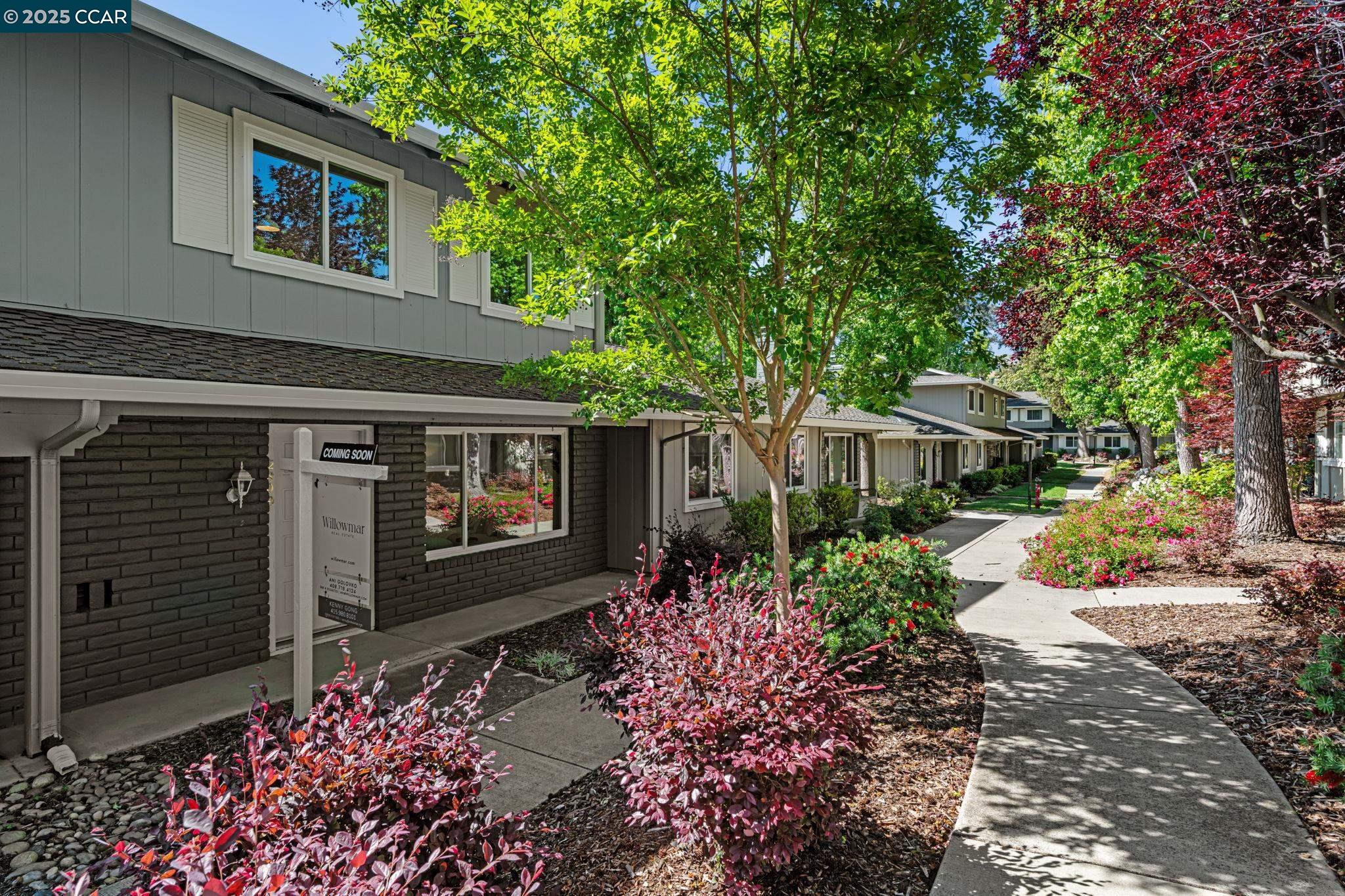 Photo #3: 41098764 Listing 