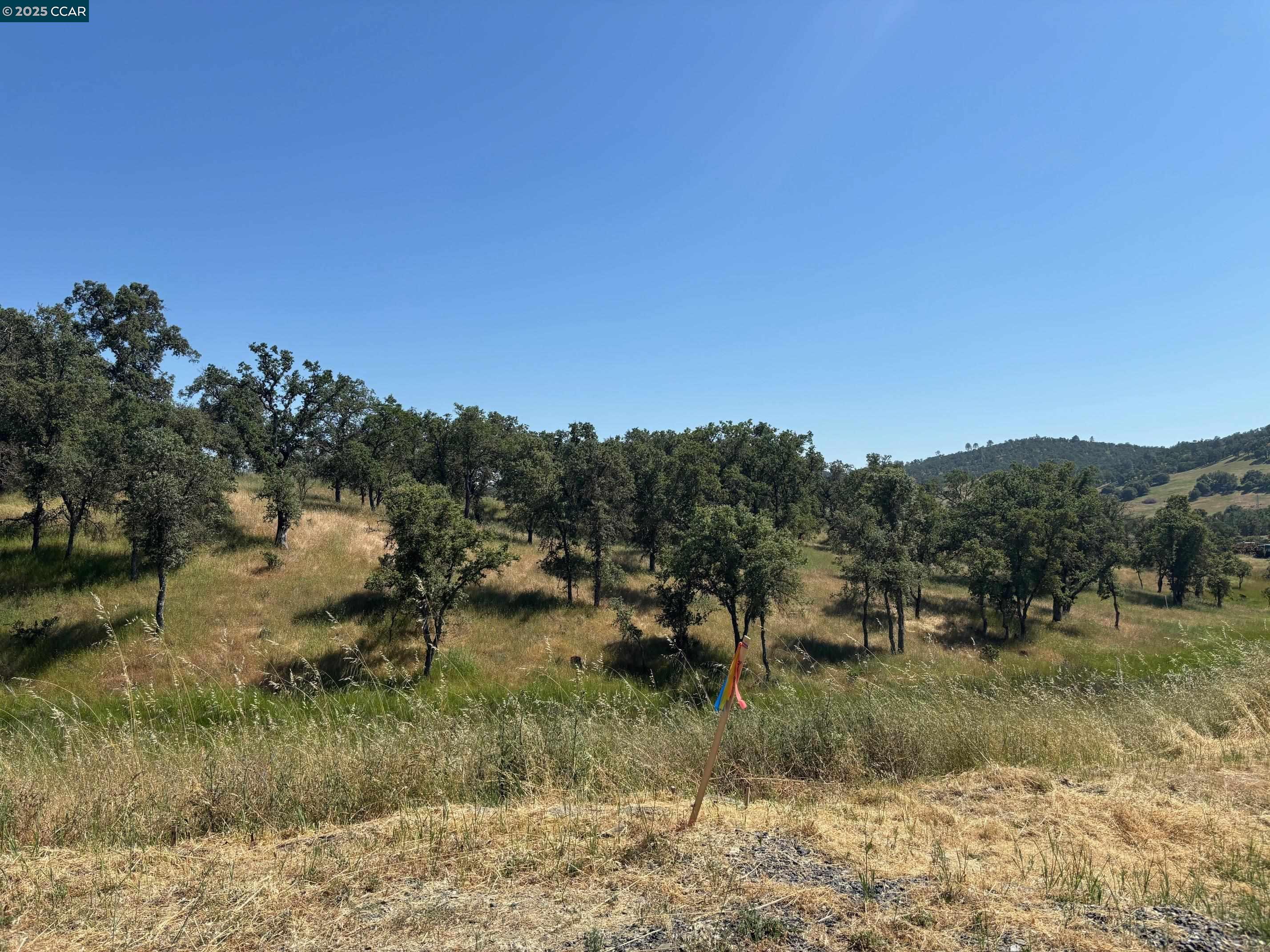 Detail Gallery Image 30 of 34 For 200 Quail Creek Terrace, Copperopolis,  CA 95228 - 3 Beds | 3/1 Baths