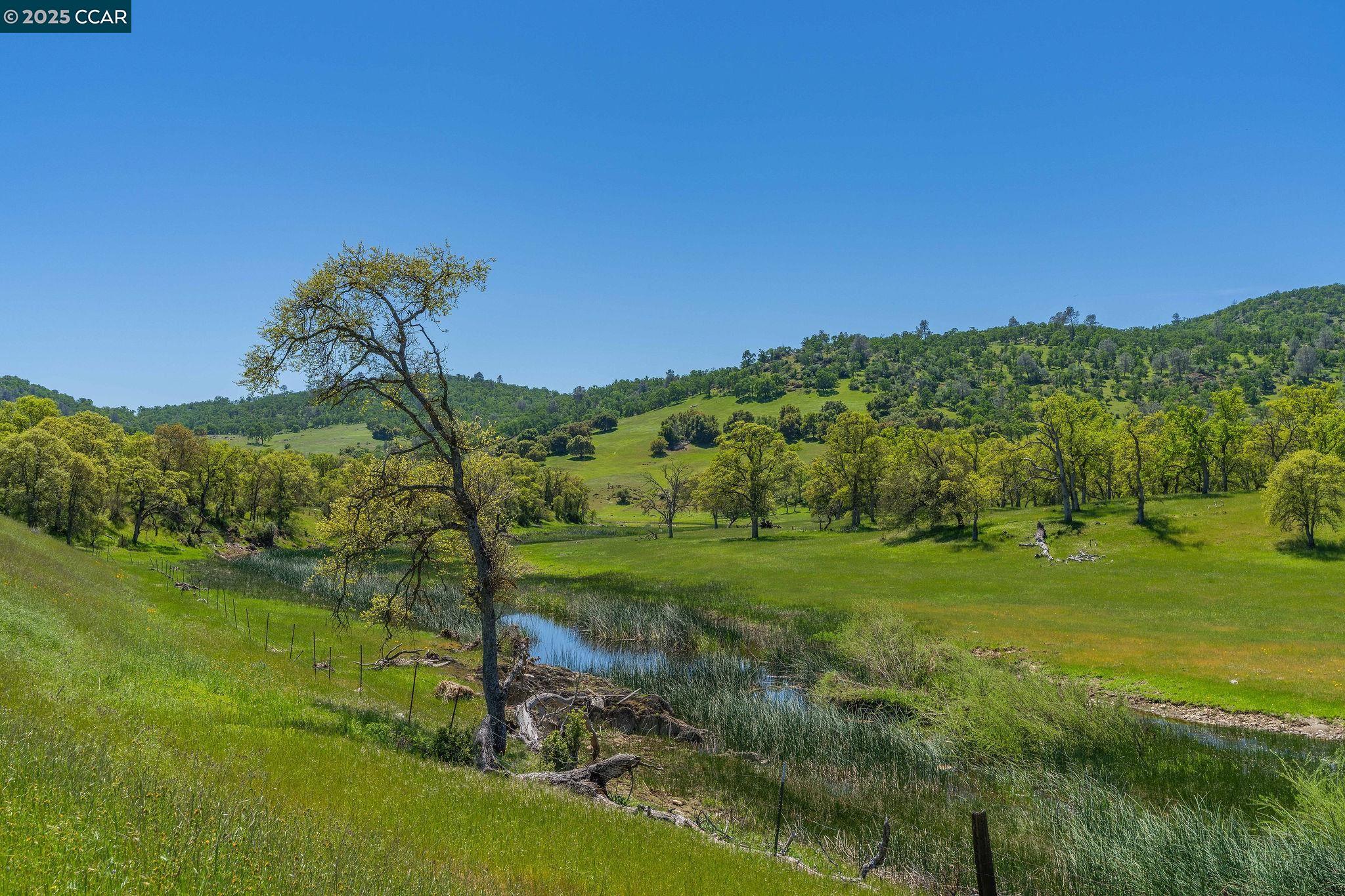 Detail Gallery Image 5 of 34 For 200 Quail Creek Terrace, Copperopolis,  CA 95228 - 3 Beds | 3/1 Baths