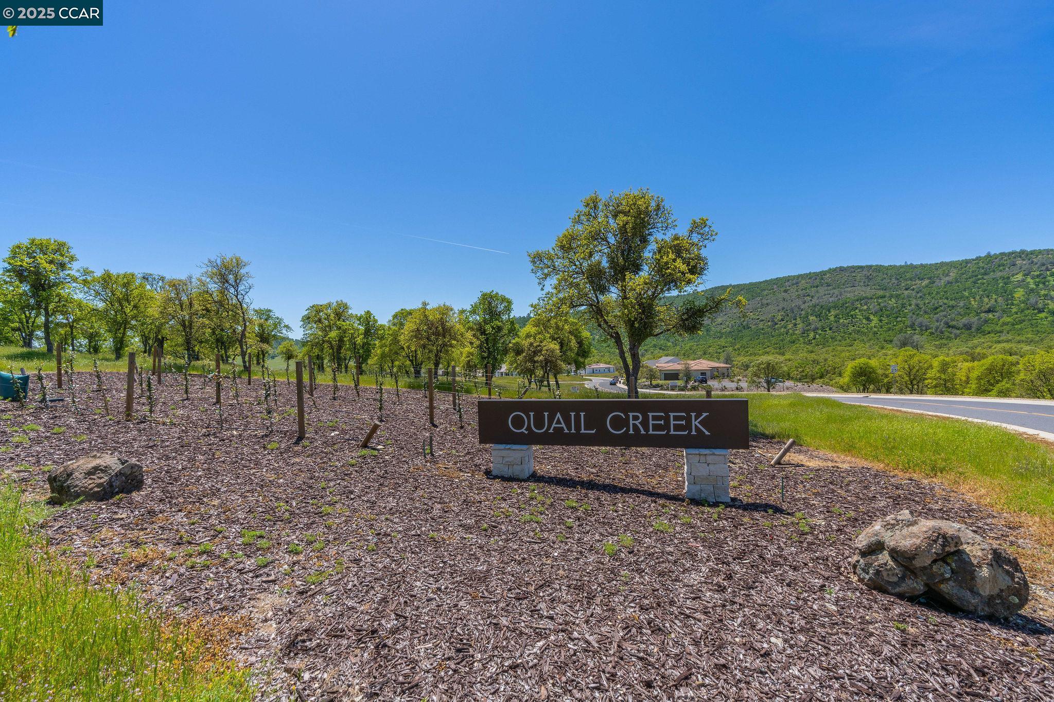 Detail Gallery Image 6 of 39 For 200 Quail Creek Terrace, Copperopolis,  CA 95228 - 3 Beds | 3/1 Baths
