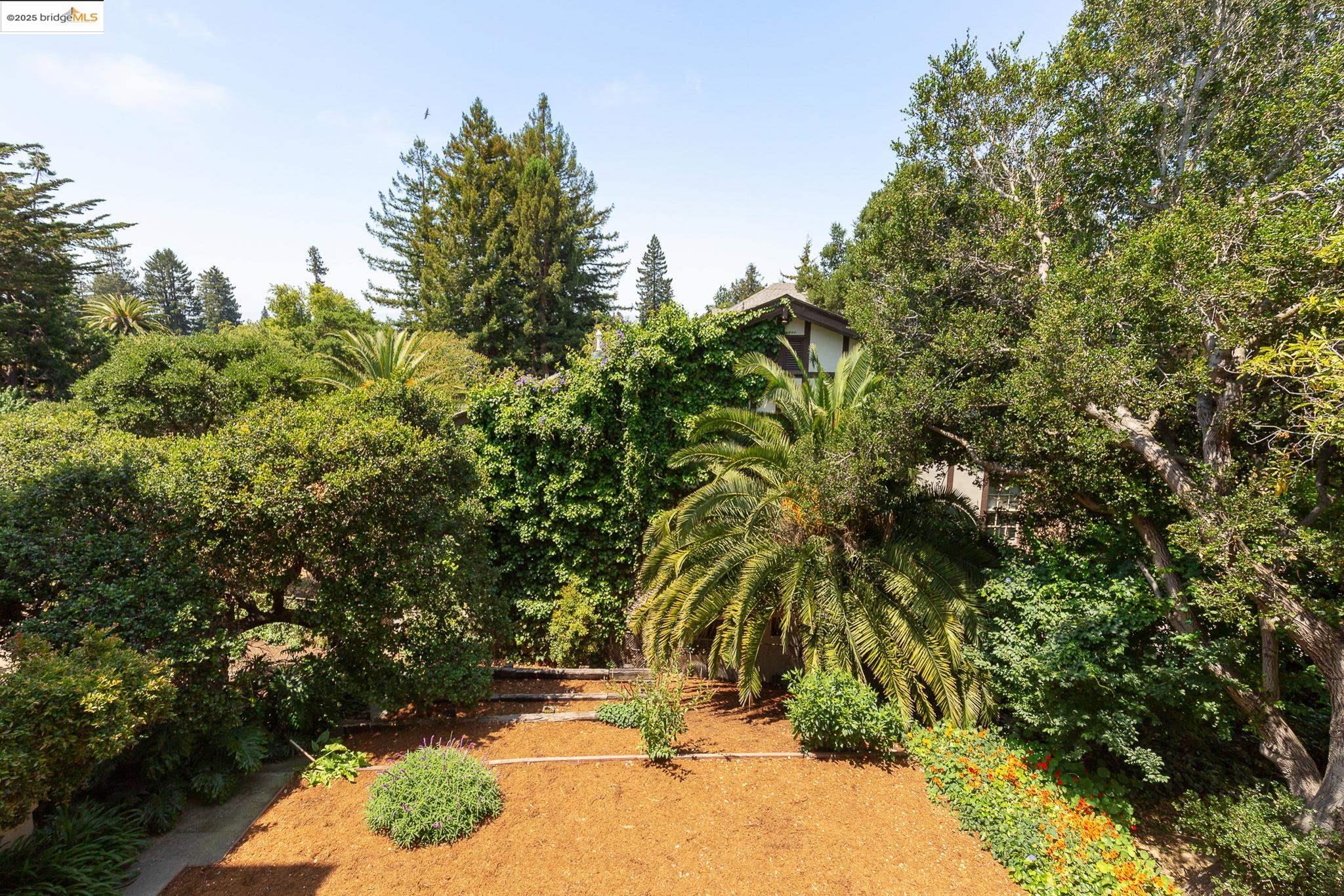 Photo #20: 41098781 Listing: Photo #20