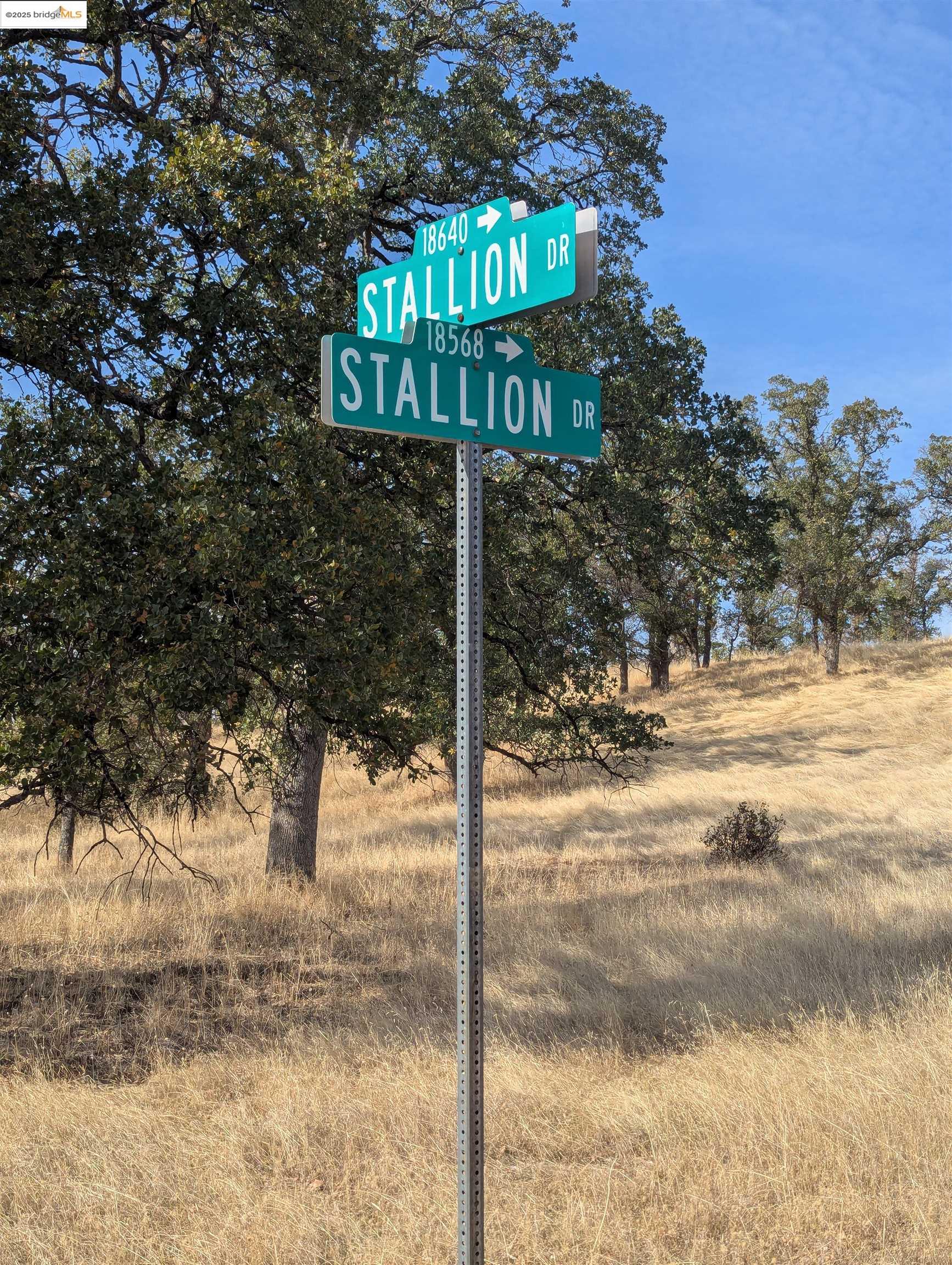 Detail Gallery Image 1 of 2 For 18574 Stallion Dr, Red Bluff,  CA 96080 - – Beds | – Baths