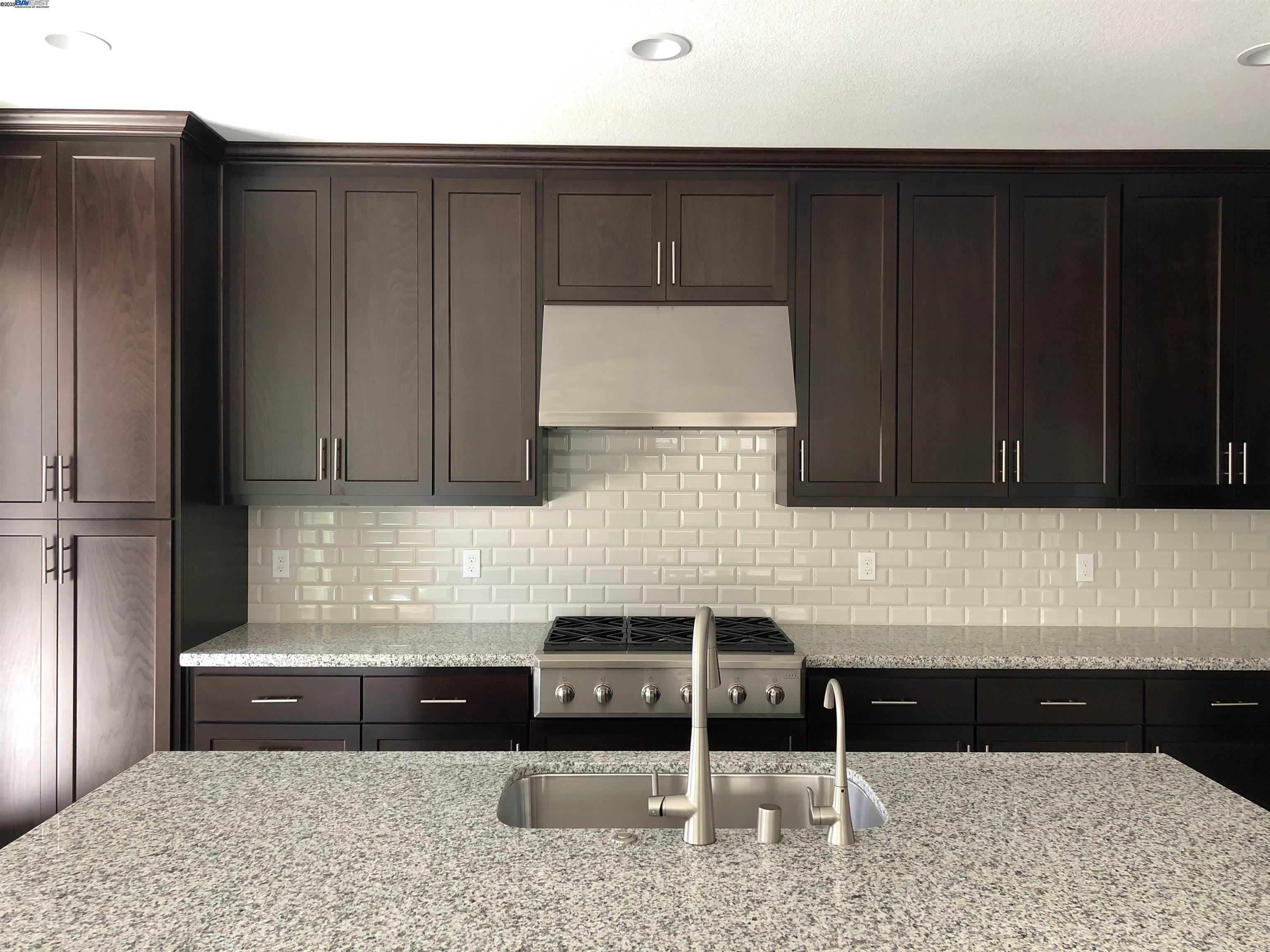 Detail Gallery Image 16 of 25 For 1401 S Durant Ter, Mountain House,  CA 95391 - 4 Beds | 3/1 Baths