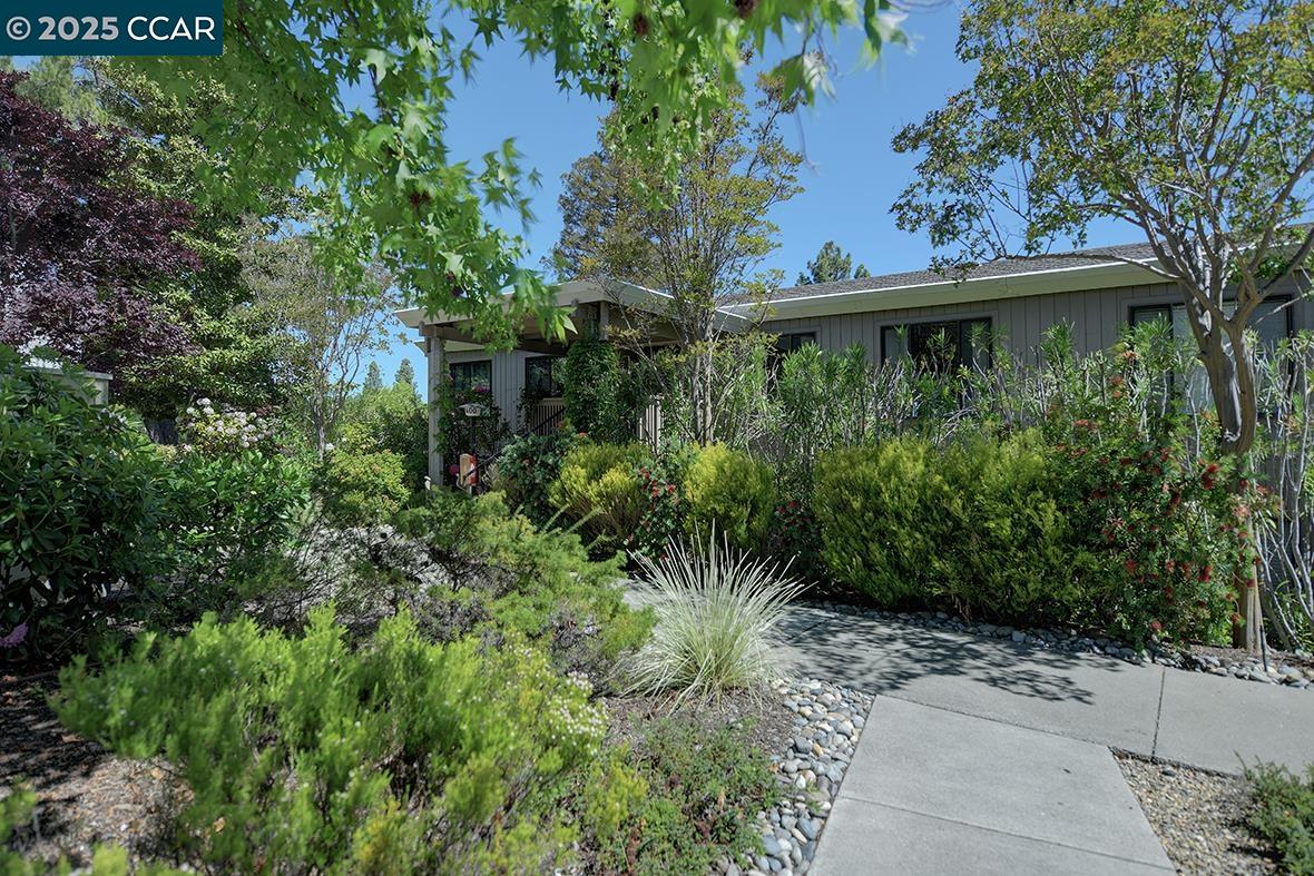 Detail Gallery Image 1 of 42 For 1400 Canyonwood #3,  Walnut Creek,  CA 94595 - 2 Beds | 1 Baths