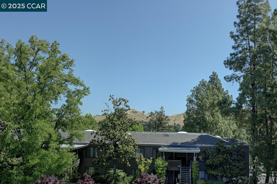 Detail Gallery Image 13 of 42 For 1400 Canyonwood #3,  Walnut Creek,  CA 94595 - 2 Beds | 1 Baths