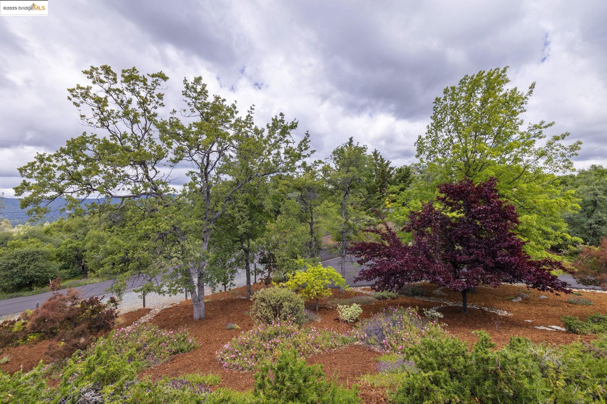 Detail Gallery Image 41 of 48 For 16399 Crestridge Ave, Sonora,  CA 95370 - 3 Beds | 3 Baths