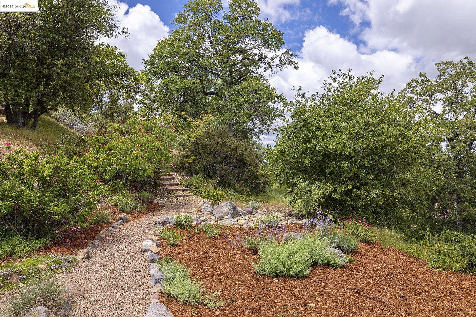 Detail Gallery Image 45 of 48 For 16399 Crestridge Ave, Sonora,  CA 95370 - 3 Beds | 3 Baths
