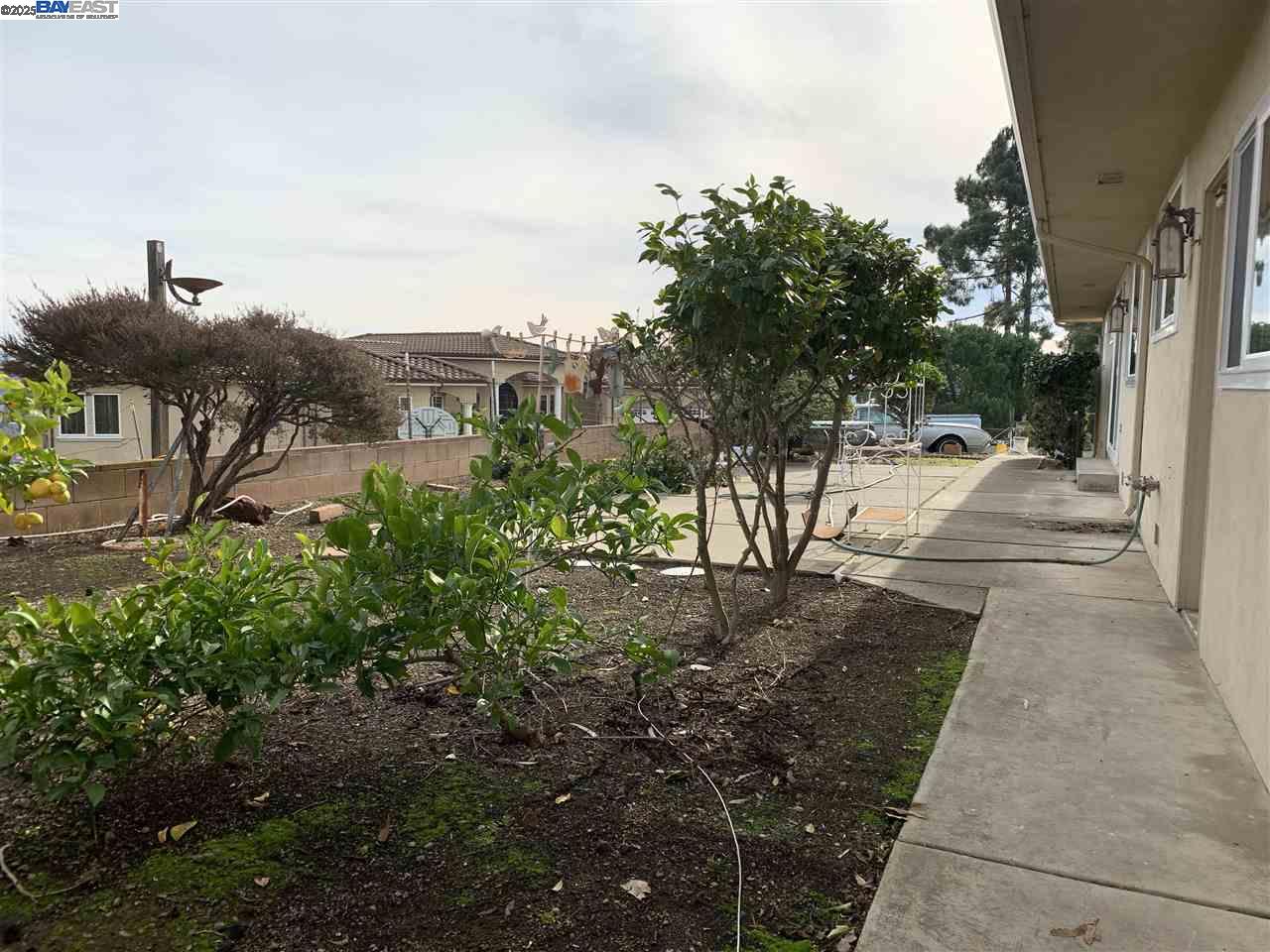 2755 Pineridge Rd, Castro Valley, California 94546, 3 Bedrooms Bedrooms, 6 Rooms Rooms,2 BathroomsBathrooms,Residential Lease,For Rent,2755 Pineridge Rd,41098853