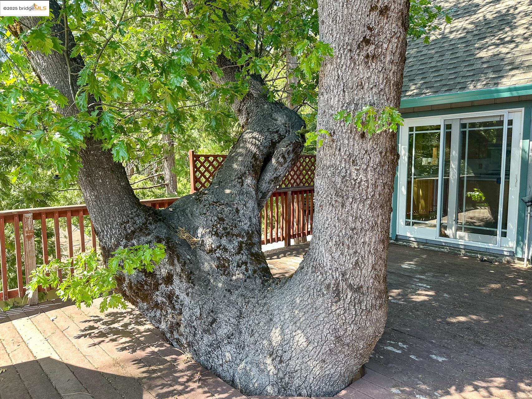 Detail Gallery Image 25 of 29 For 20999 Lama Teumete Rd, Mi Wuk Village,  CA 95346 - 3 Beds | 2 Baths