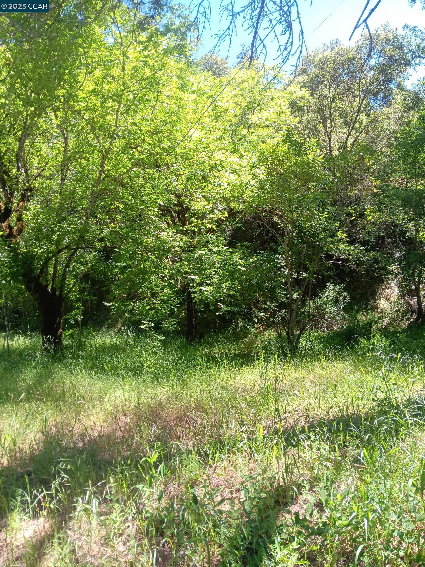 Detail Gallery Image 9 of 11 For 56025 Highway 101, Laytonville,  CA 95454 - – Beds | – Baths