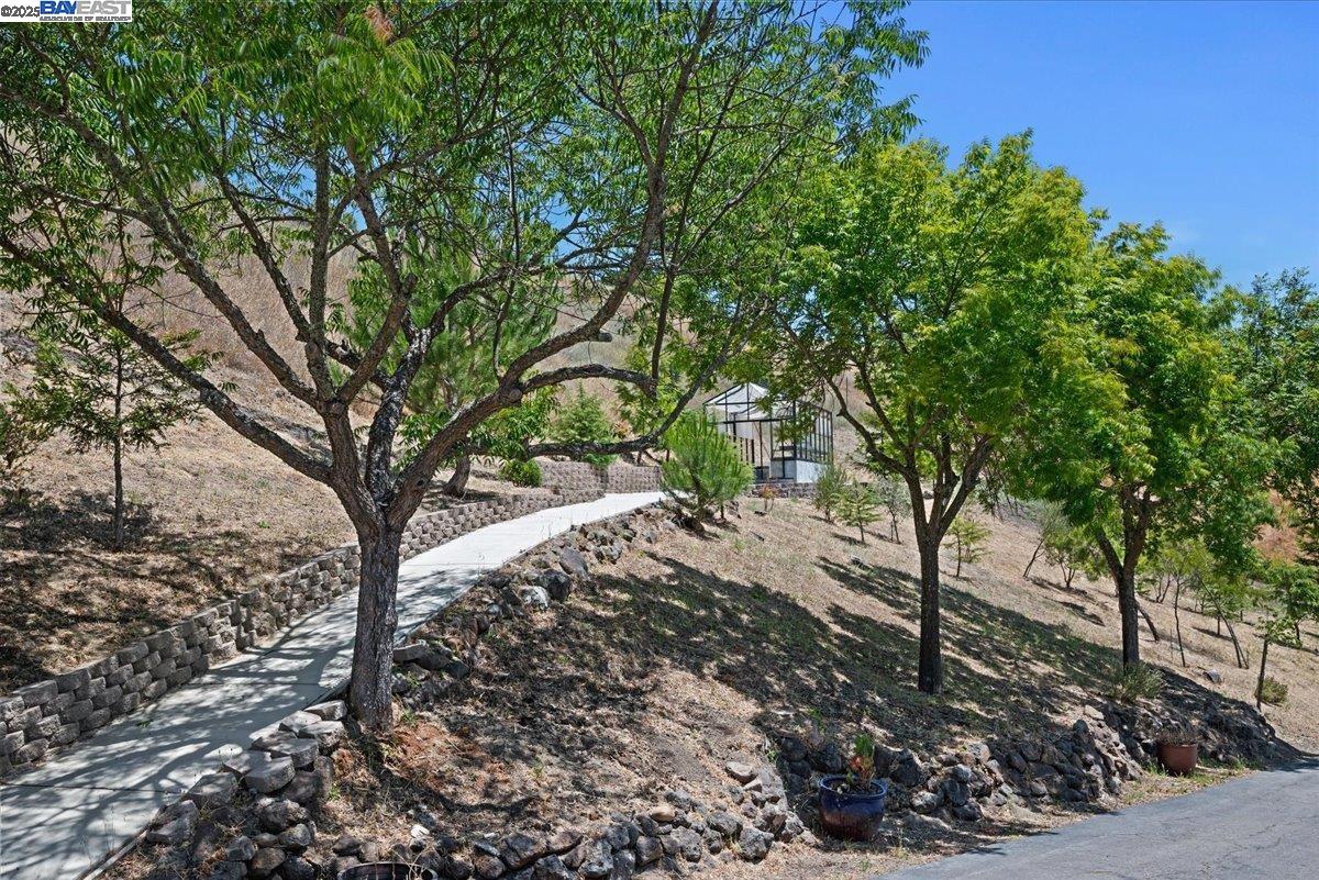 Detail Gallery Image 48 of 59 For 325 Bollinger Estates Ct, San Ramon,  CA 94583 - 4 Beds | 4/1 Baths