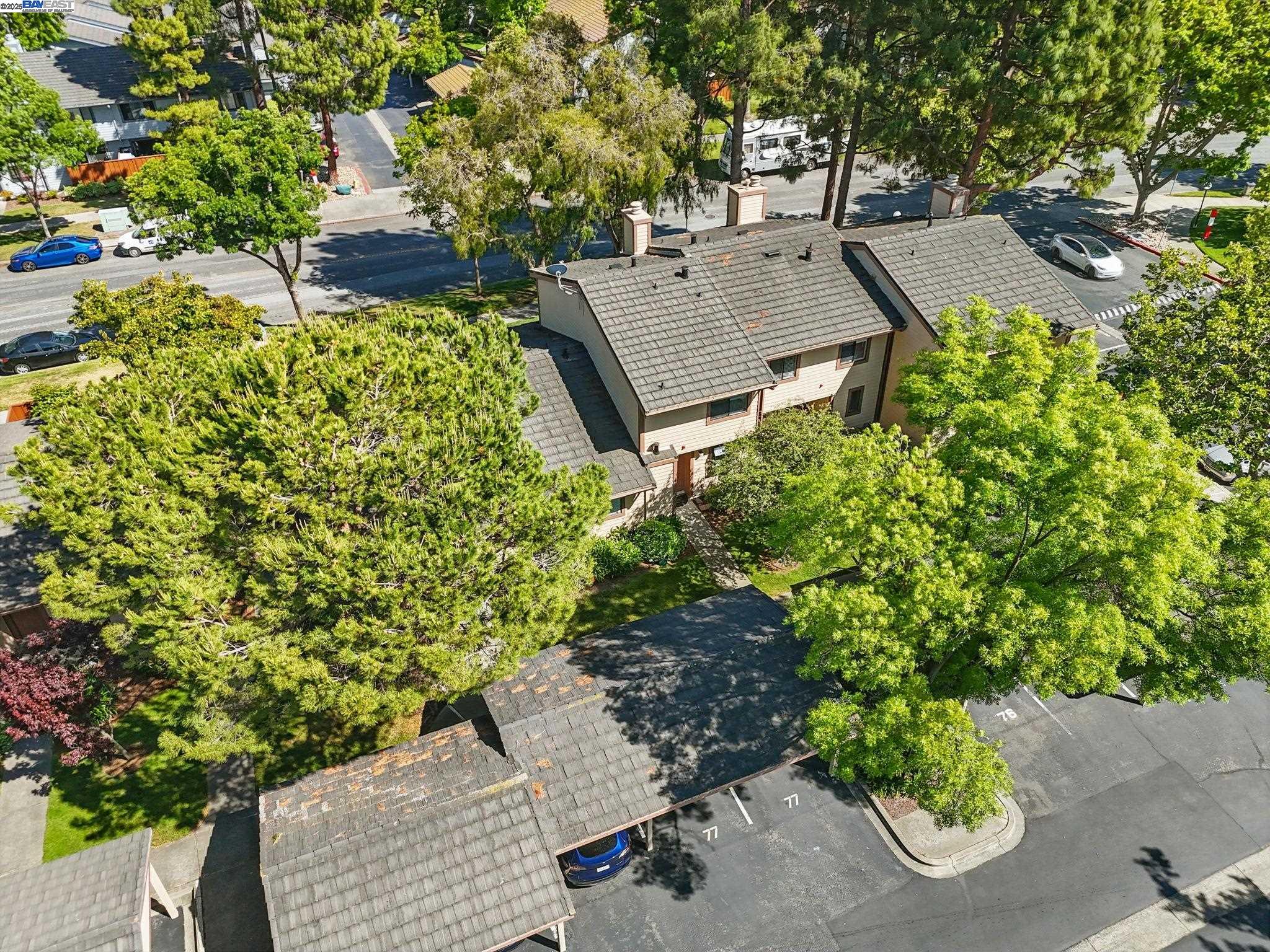 Photo #25: 41098952 Listing: Photo #25