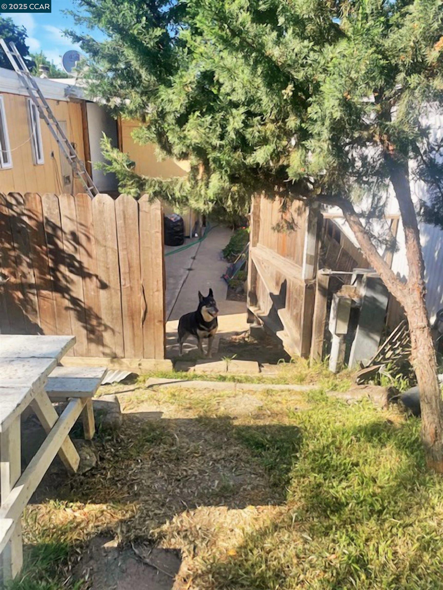 Detail Gallery Image 16 of 20 For 841 W Brannan Island Rd #5,  Isleton,  CA 95641 - 2 Beds | 1 Baths