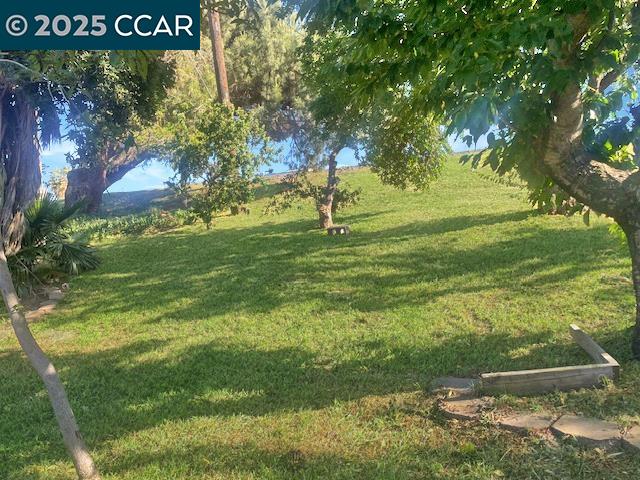 Detail Gallery Image 21 of 22 For 841 W Brannan Island Rd #5,  Isleton,  CA 95641 - 2 Beds | 1 Baths