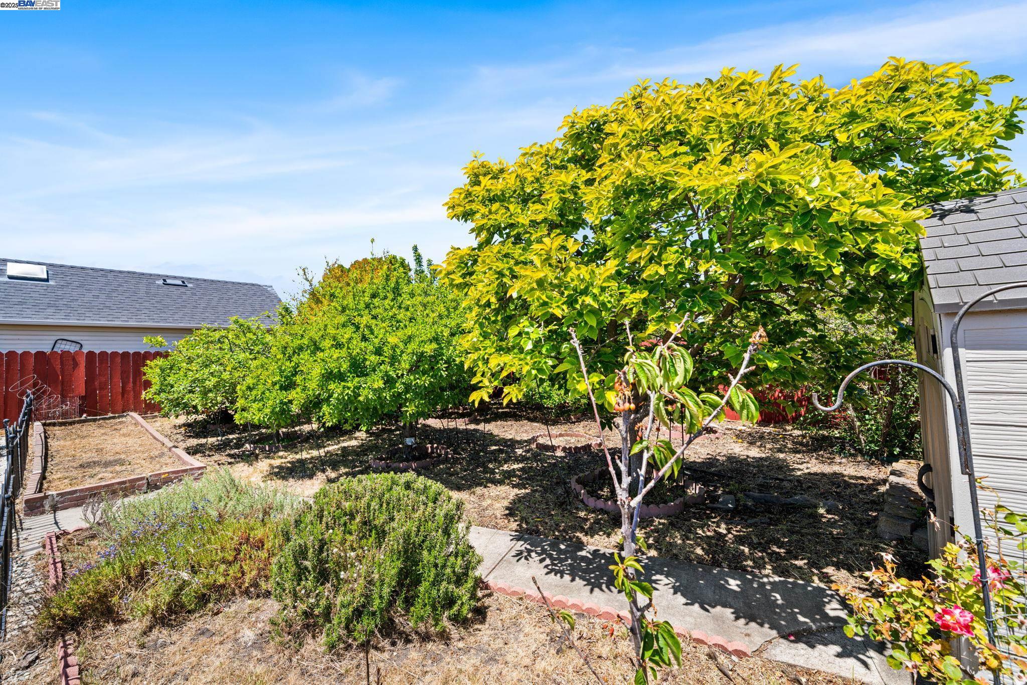 Detail Gallery Image 20 of 24 For 1457 via El Monte, San Lorenzo,  CA 94580 - 3 Beds | 1 Baths