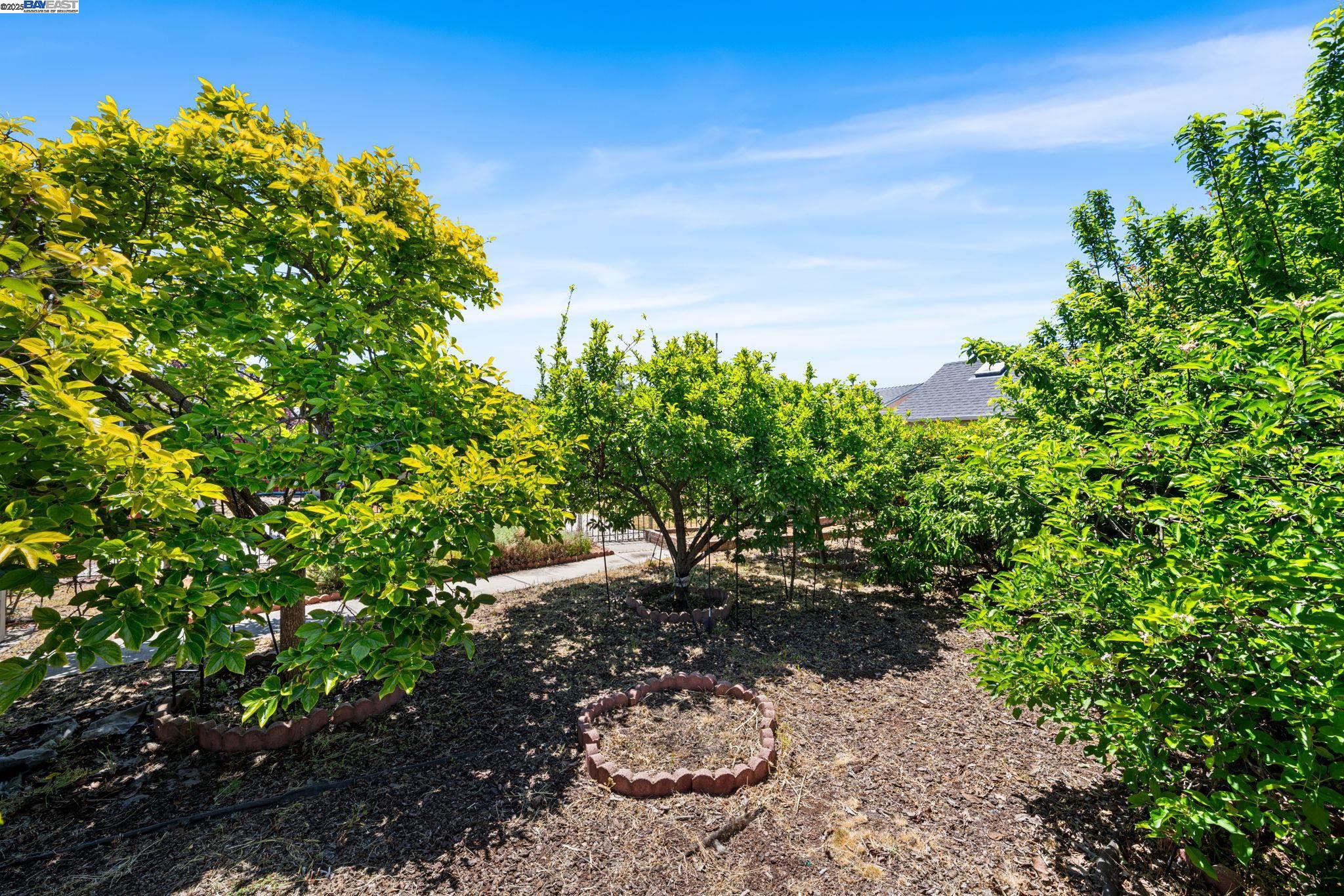 Detail Gallery Image 21 of 24 For 1457 via El Monte, San Lorenzo,  CA 94580 - 3 Beds | 1 Baths