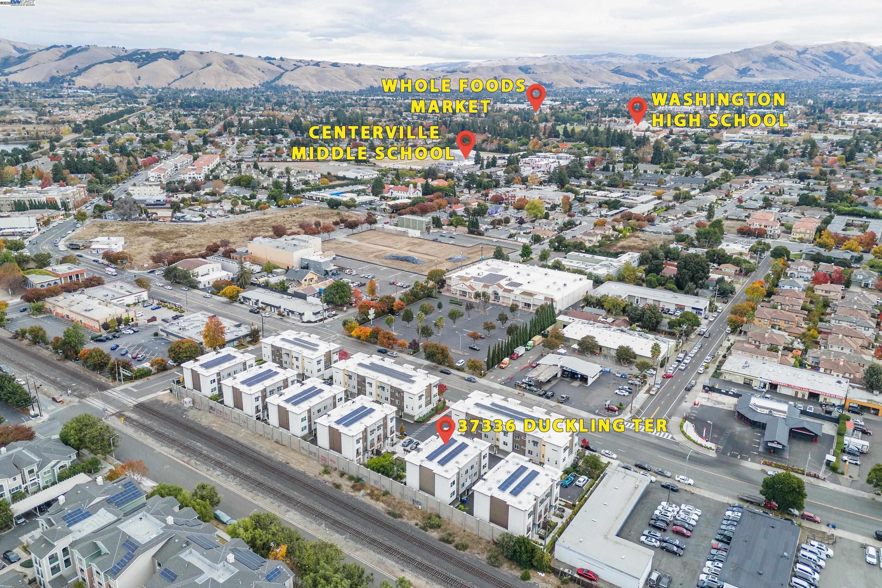 Photo #39: 41099007 Listing: Photo #39