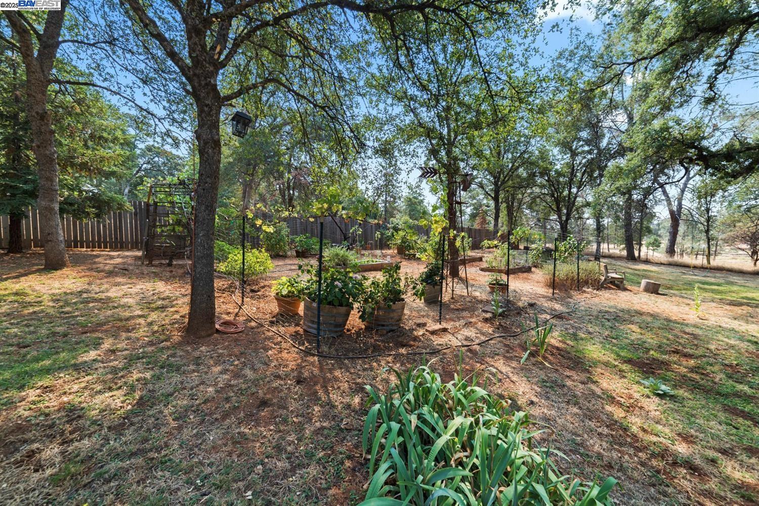 Detail Gallery Image 5 of 60 For 20140 Redwood Dr, Foresthill,  CA 95631 - 3 Beds | 2 Baths