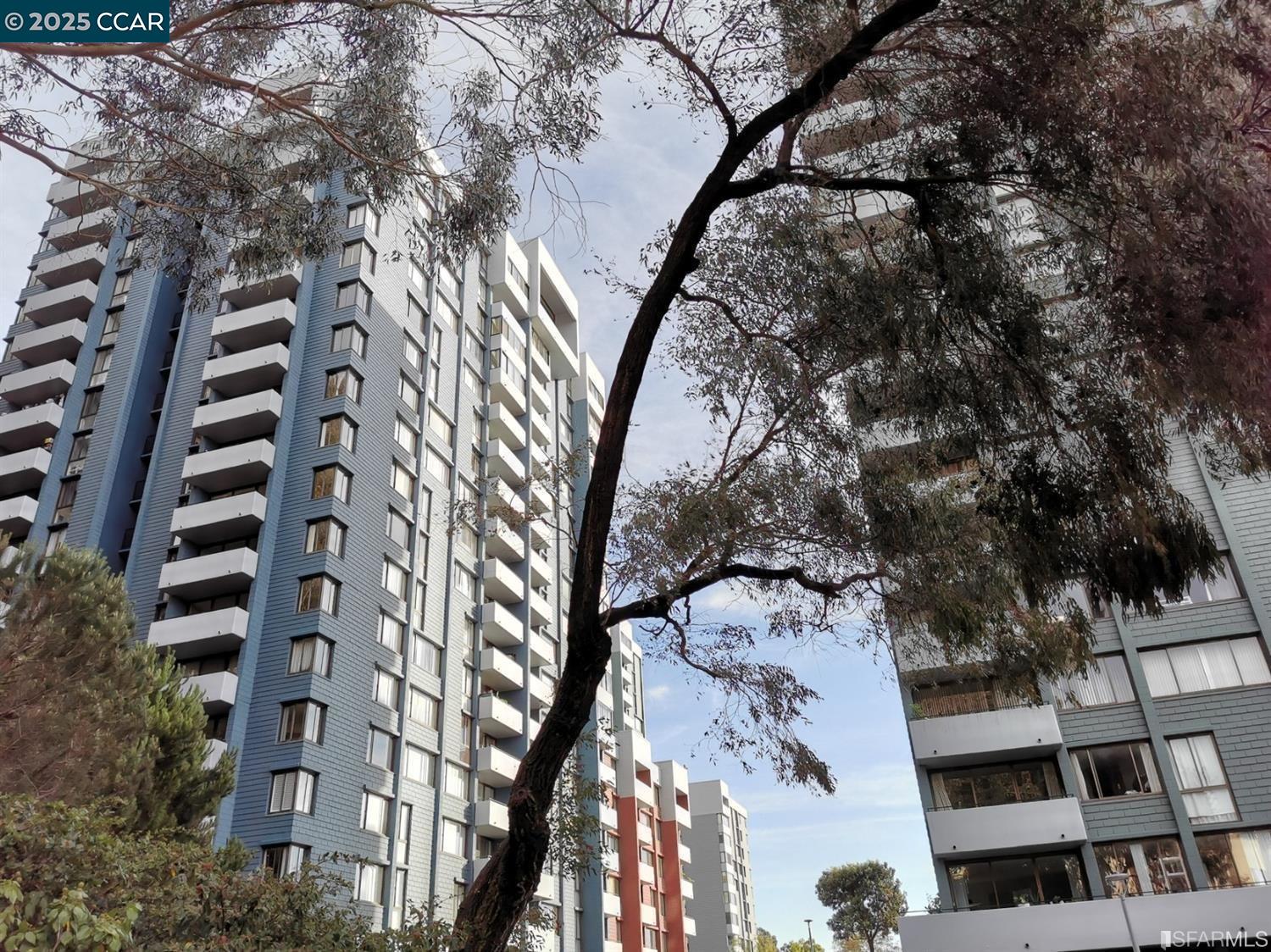 555 Pierce St # 328, Albany, California 94706, 2 Bedrooms Bedrooms, 5 Rooms Rooms,2 BathroomsBathrooms,Residential Lease,For Rent,555 Pierce St # 328,41099074