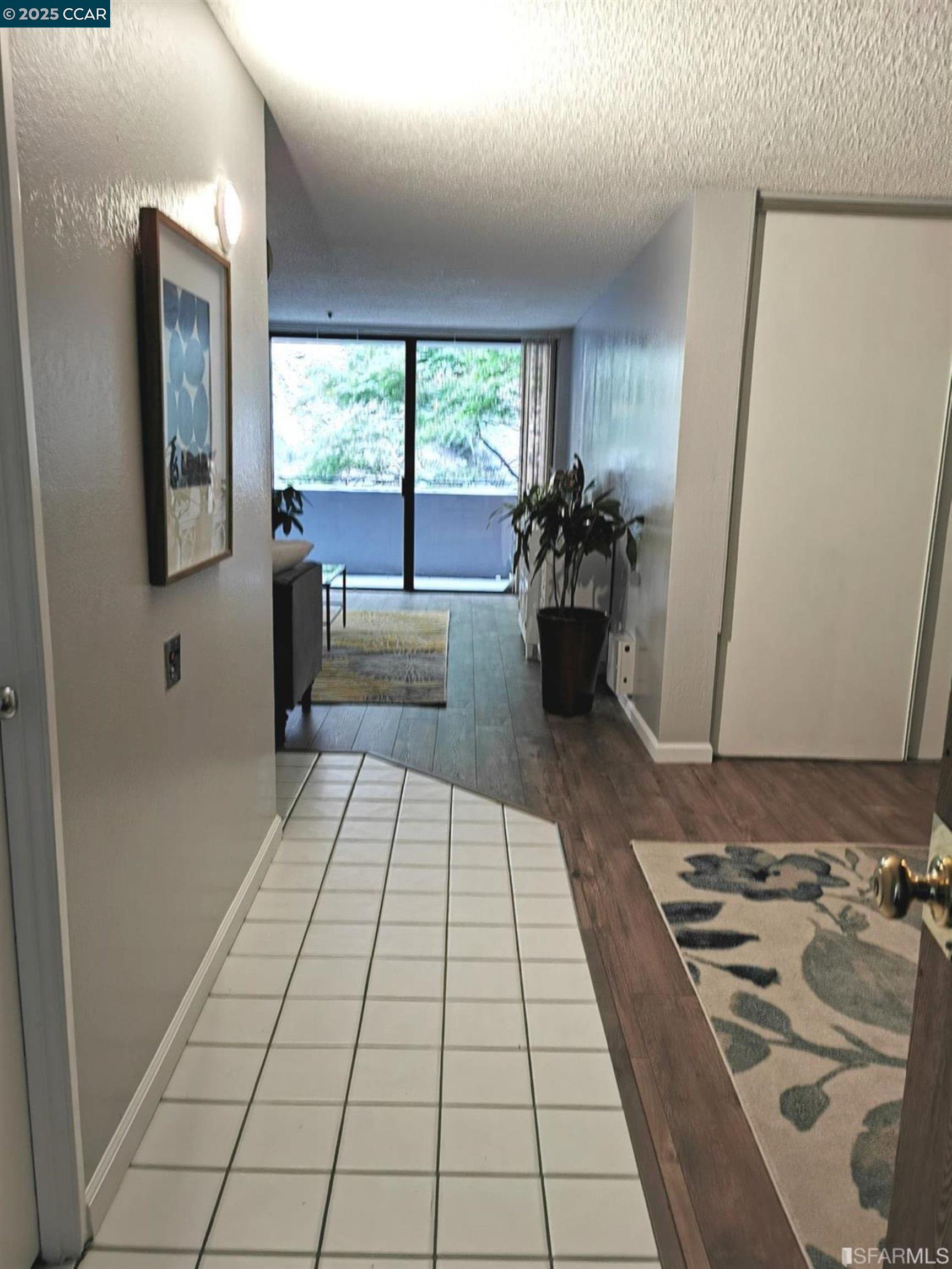 555 Pierce St # 328, Albany, California 94706, 2 Bedrooms Bedrooms, 5 Rooms Rooms,2 BathroomsBathrooms,Residential Lease,For Rent,555 Pierce St # 328,41099074