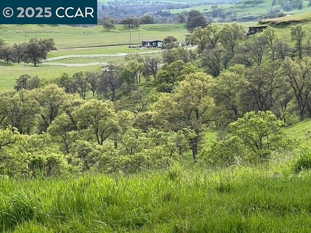 Detail Gallery Image 5 of 18 For 12 Frenchbar Road, La Grange,  CA 95329 - – Beds | – Baths