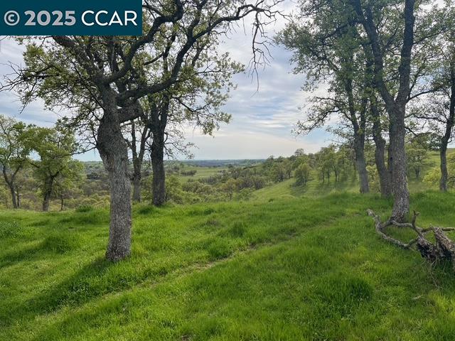 Detail Gallery Image 1 of 10 For 14 Frenchbar Road, La Grange,  CA 95359 - – Beds | – Baths