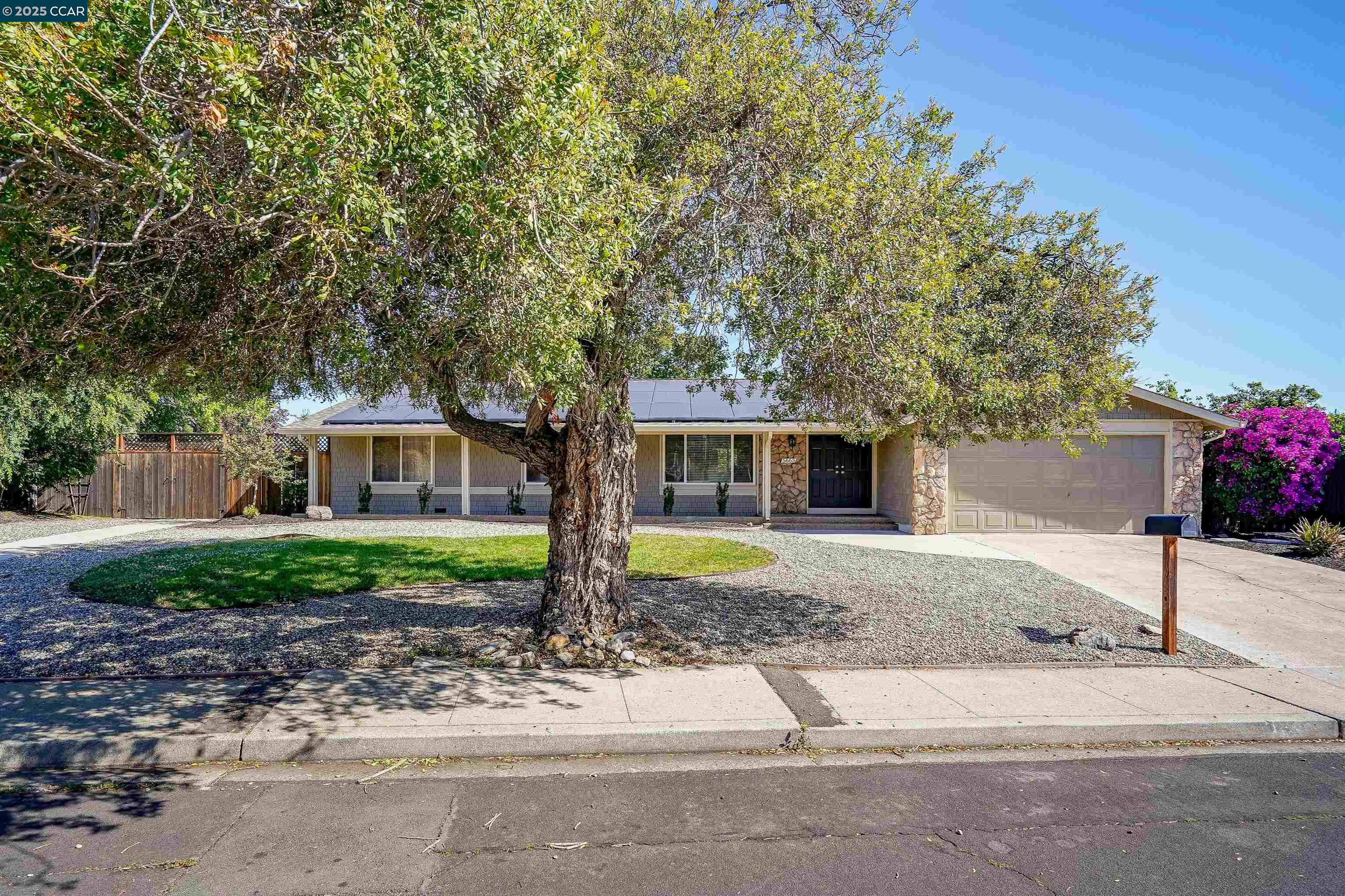 Front Image Thumbnail for CC41099110