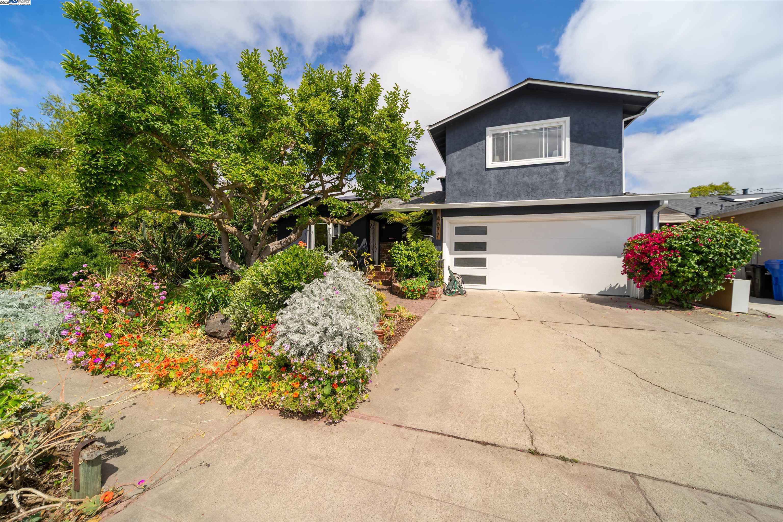4677 Piper St, Fremont, California 94538, 4 Bedrooms Bedrooms, 7 Rooms Rooms,3 BathroomsBathrooms,Residential,For Sale,4677 Piper St,41099149