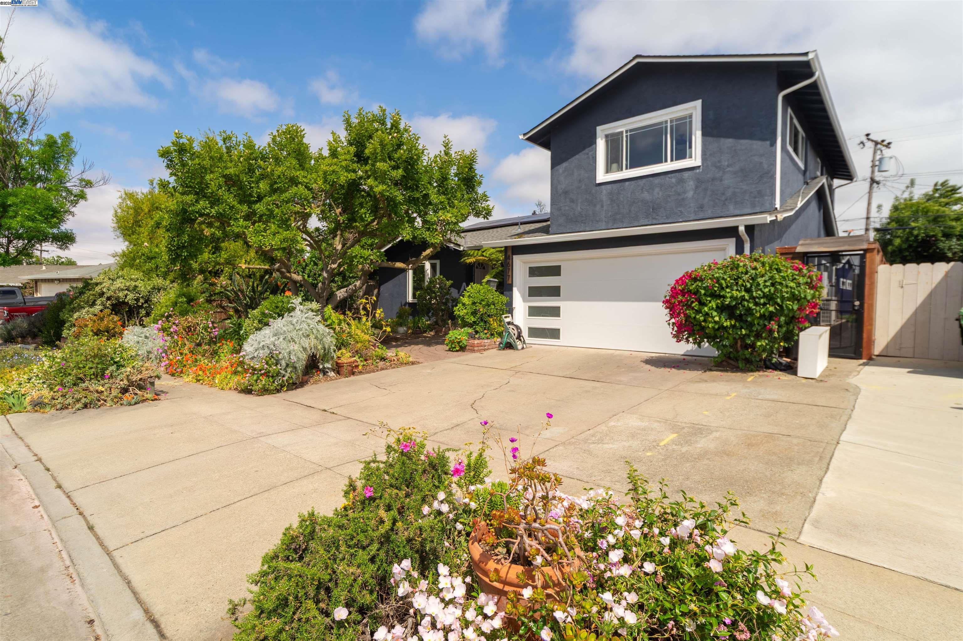 4677 Piper St, Fremont, California 94538, 4 Bedrooms Bedrooms, 7 Rooms Rooms,3 BathroomsBathrooms,Residential,For Sale,4677 Piper St,41099149